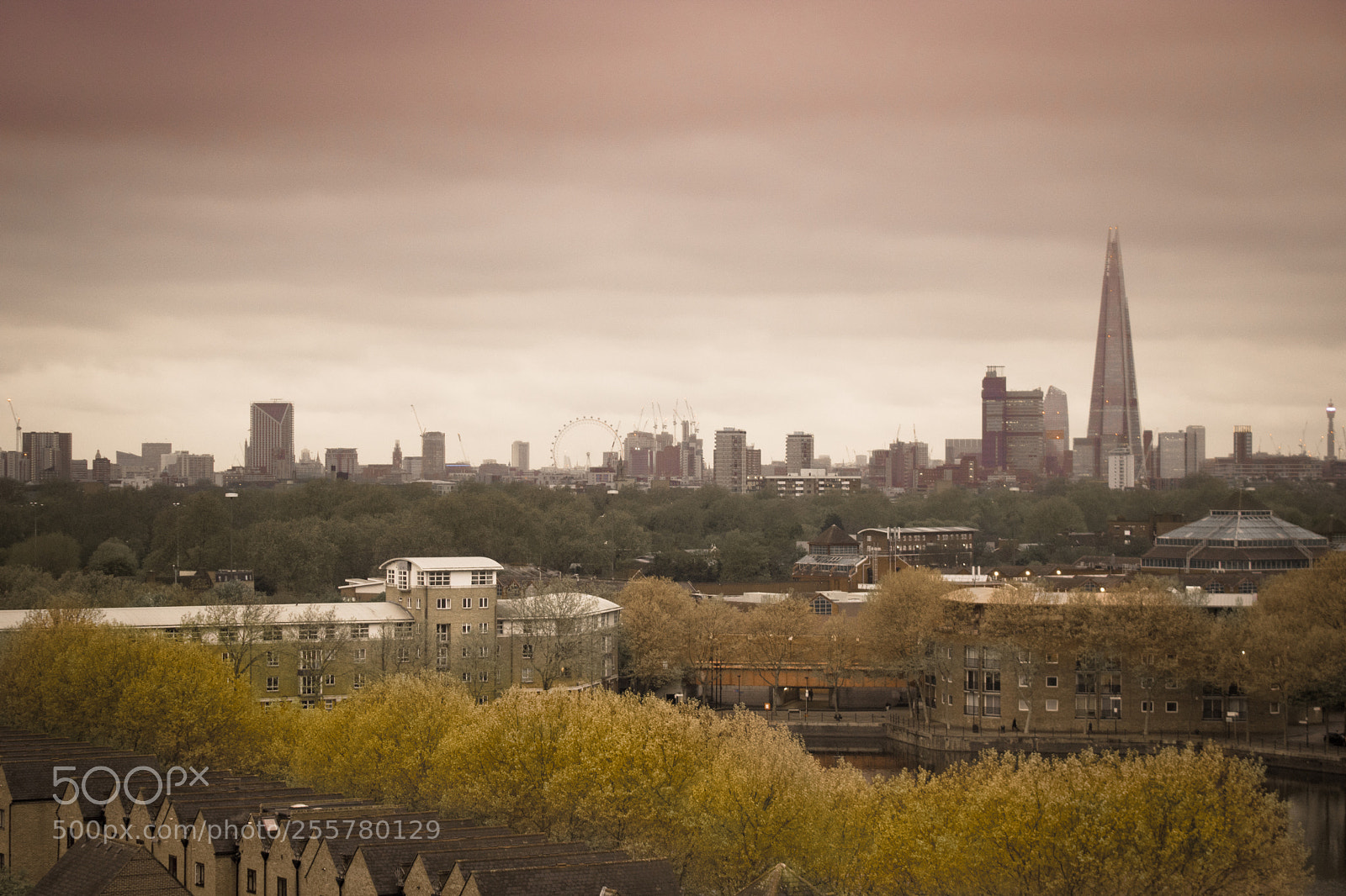 Canon EOS 750D (EOS Rebel T6i / EOS Kiss X8i) sample photo. . faraway photography