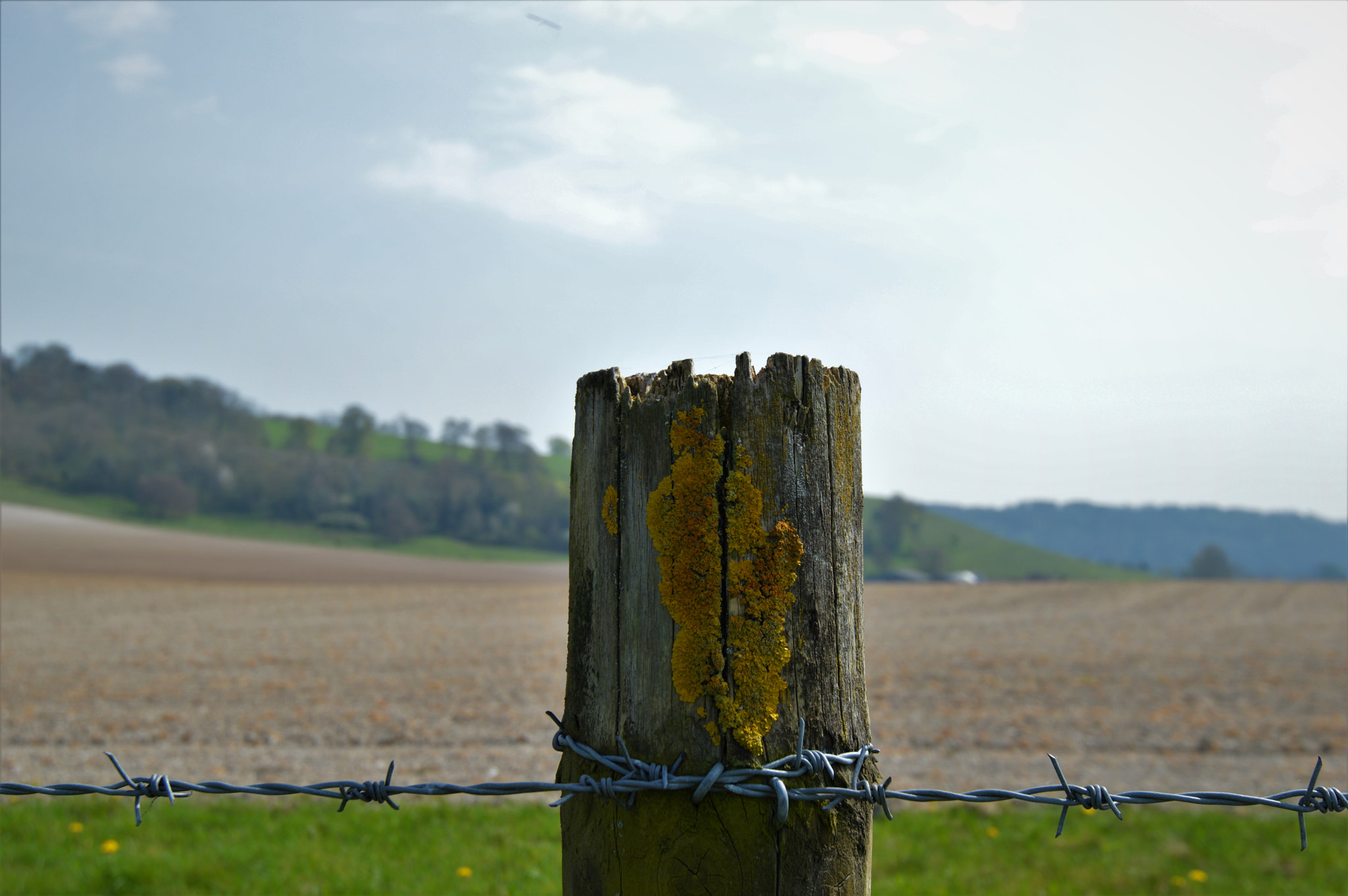 Nikon AF-S Nikkor 16-35mm F4G ED VR sample photo. () photography