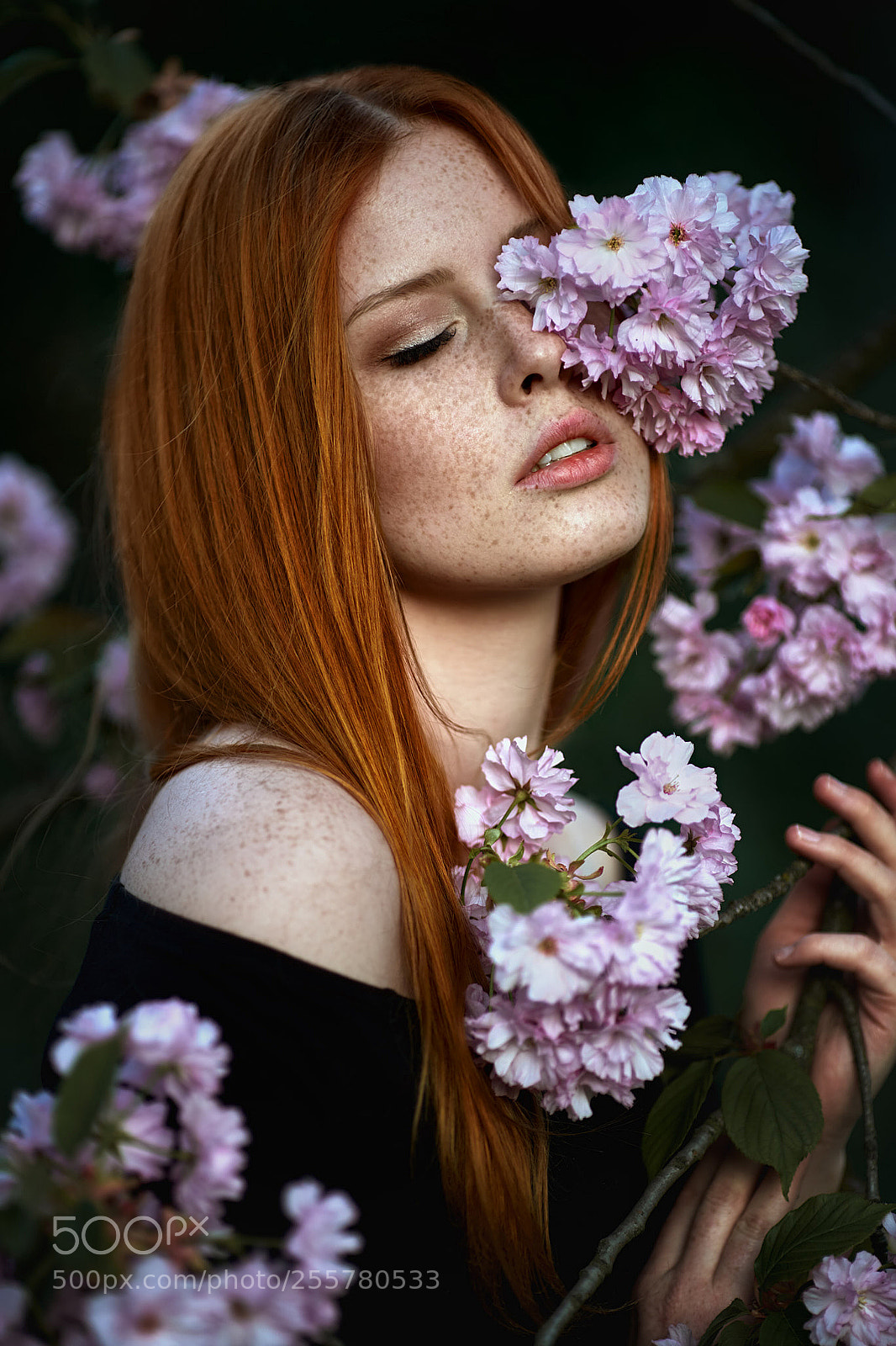 Sony a7 III sample photo. Flowers photography