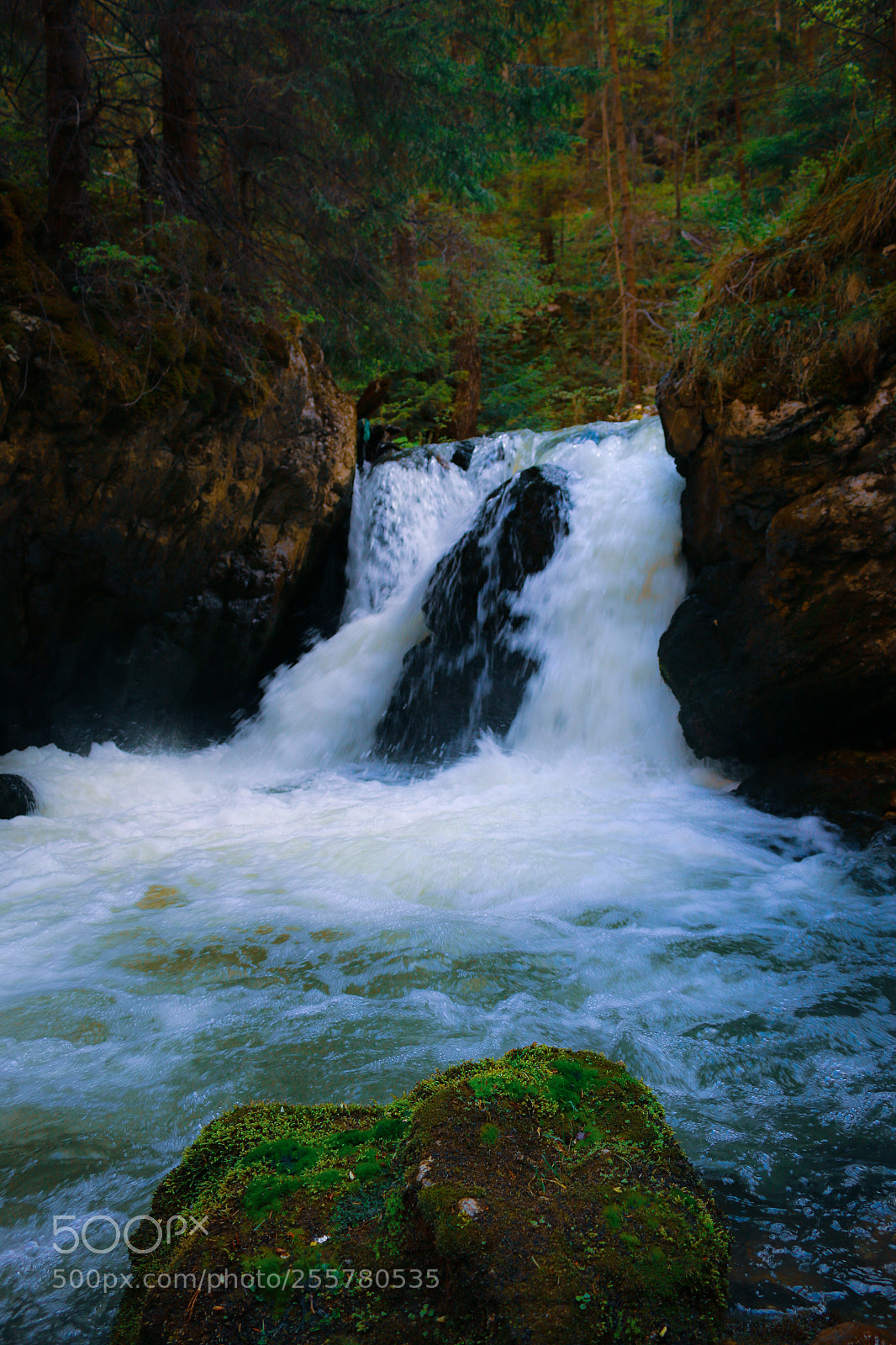 Canon EOS 70D sample photo. Untitled photography
