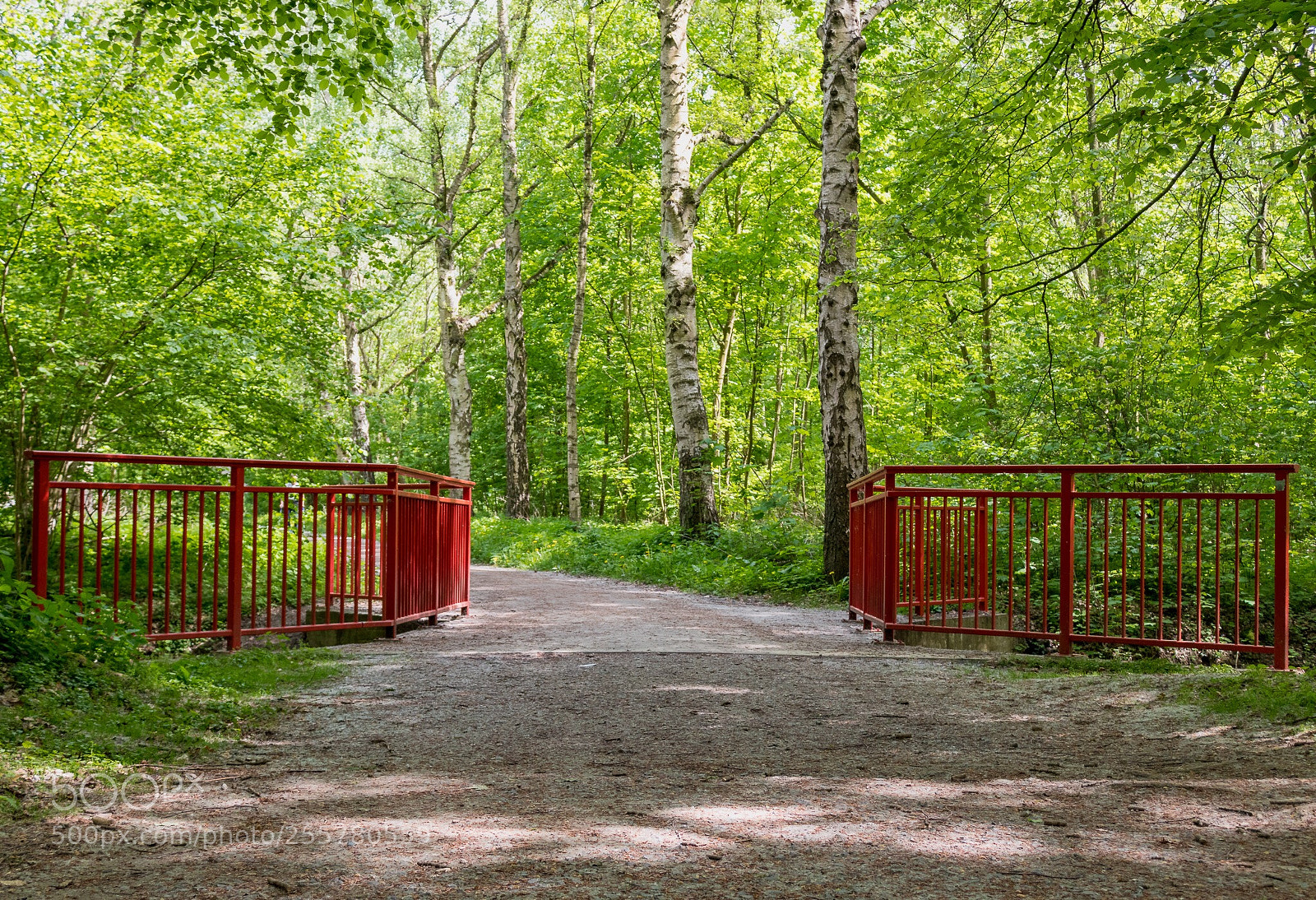 Canon EOS 77D (EOS 9000D / EOS 770D) sample photo. Br cke im stadtpark photography