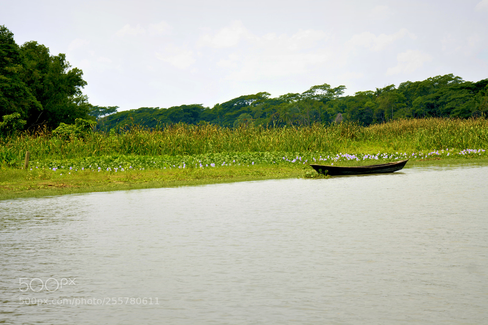 Nikon D5200 sample photo. Alone photography
