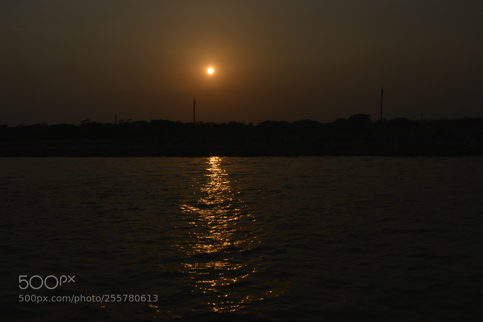 Nikon D5200 sample photo. Golden glow photography