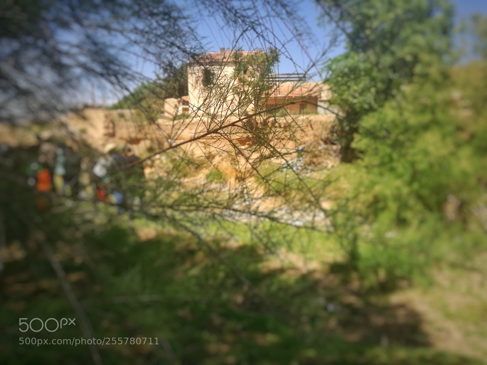 HUAWEI P9 LITE sample photo. Untitled photography