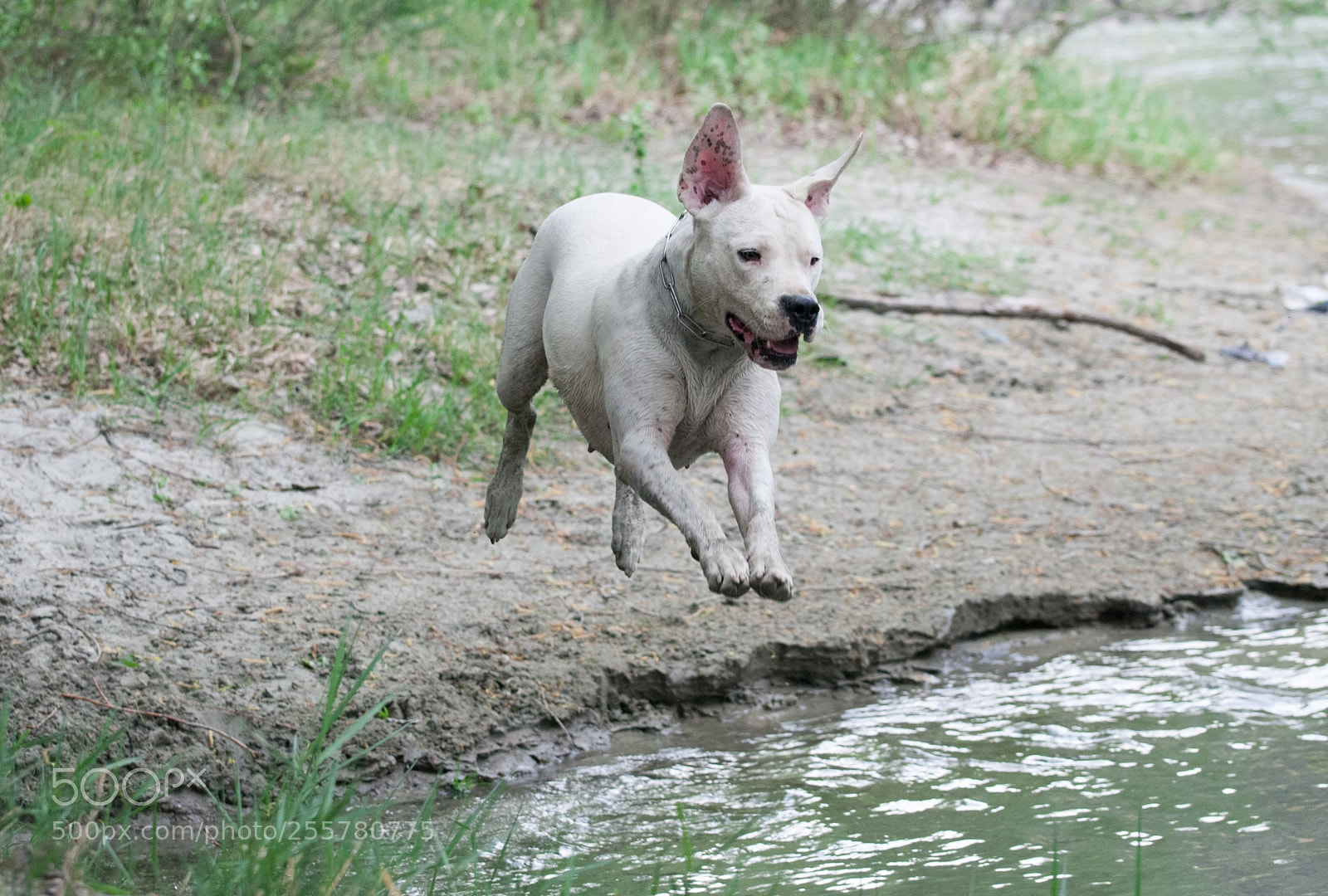 Nikon D300 sample photo. Bulma photography