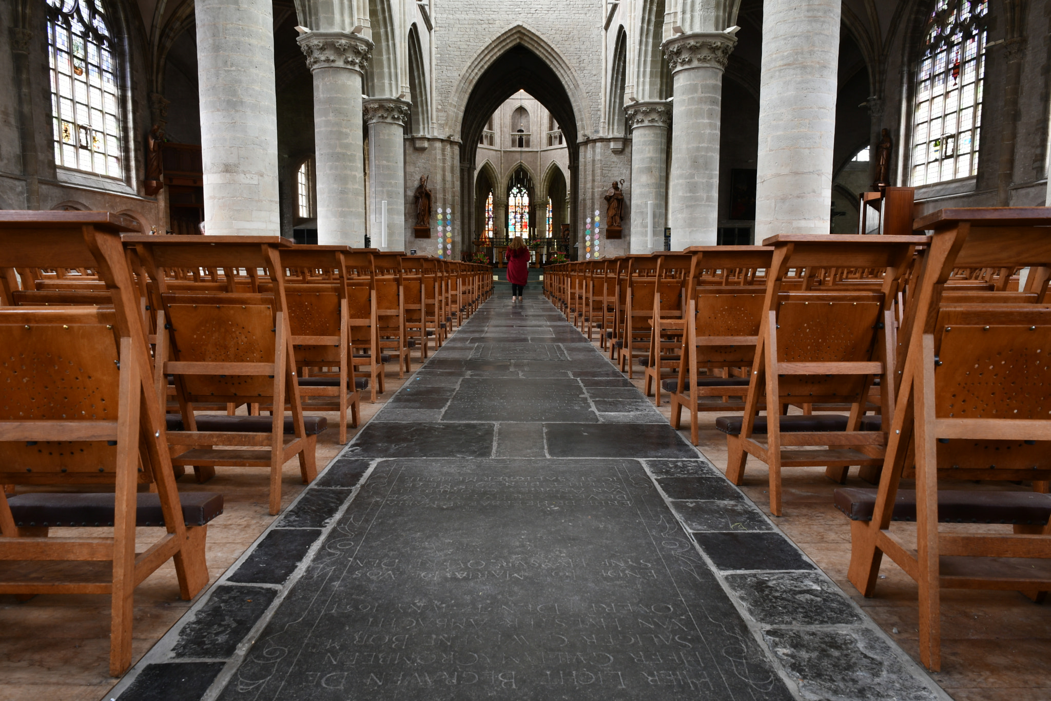 Nikon D7500 sample photo. Basiliek hulst symetry photography