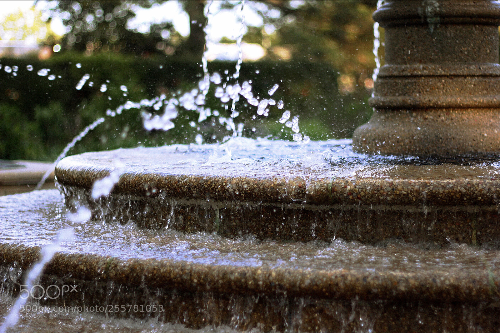Canon EOS 60D sample photo. It overfloweth photography