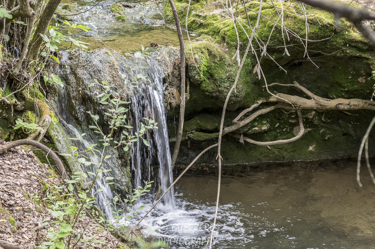 Pentax K-3 II sample photo. Aguas tranquilas 1 photography