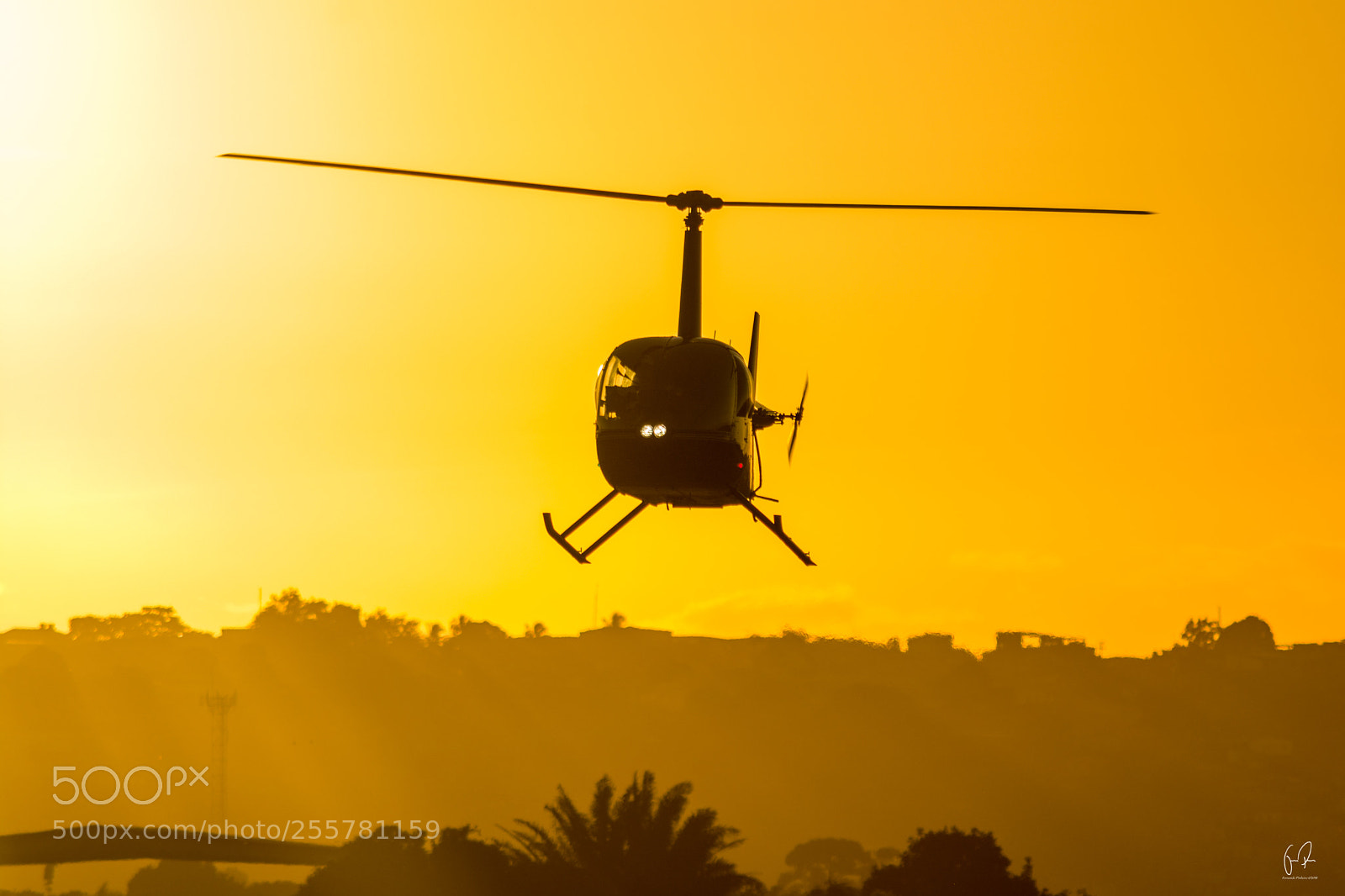 Nikon D5200 sample photo. Robinson 44 raven ii photography