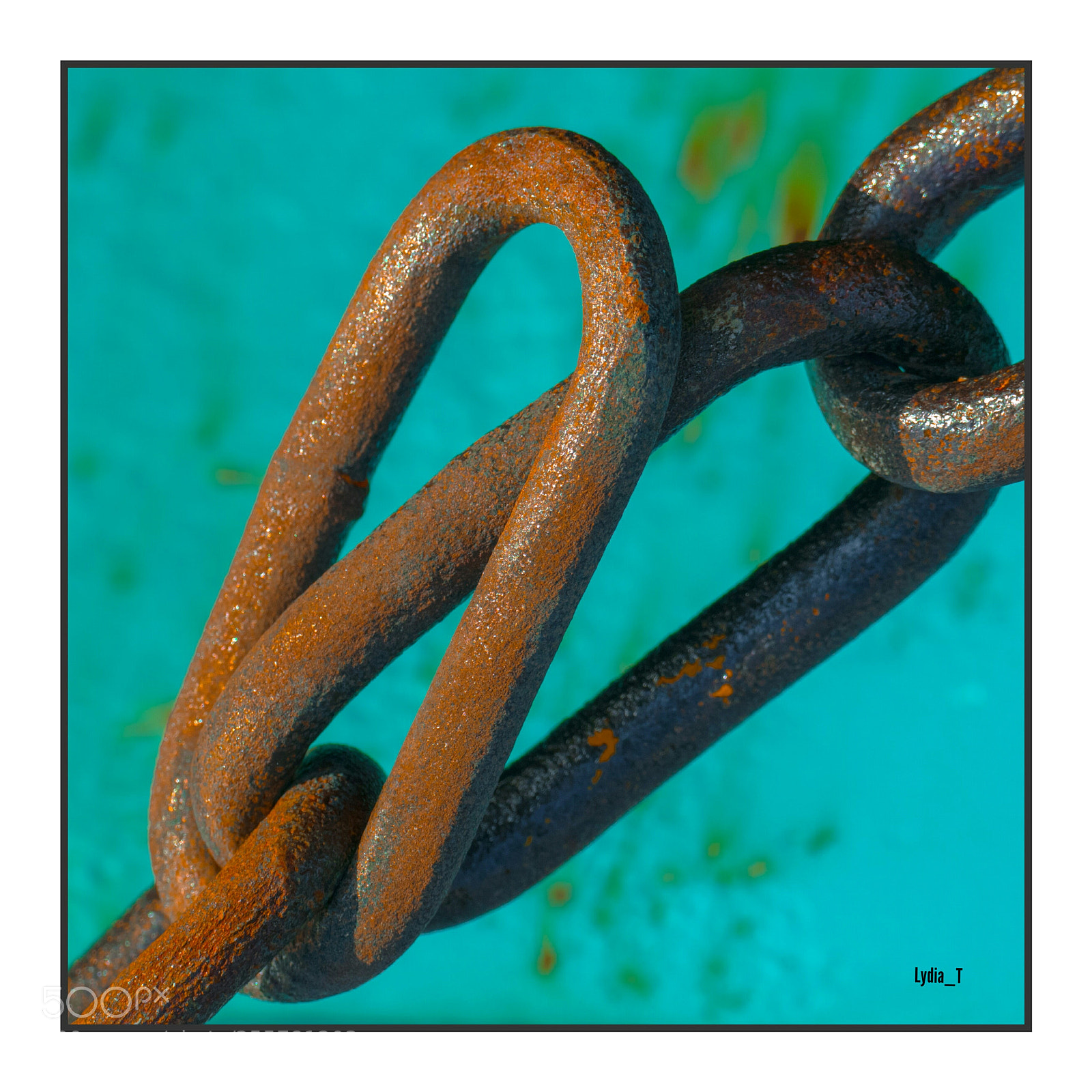 Panasonic Lumix DMC-FZ1000 sample photo. Chained with love photography