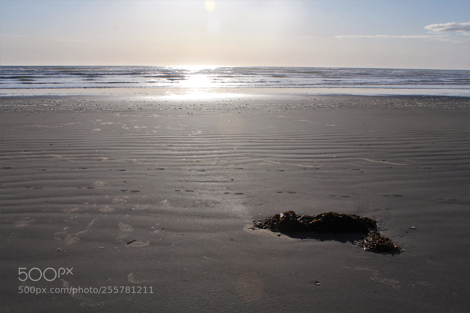 Canon EOS 600D (Rebel EOS T3i / EOS Kiss X5) sample photo. Washed up photography