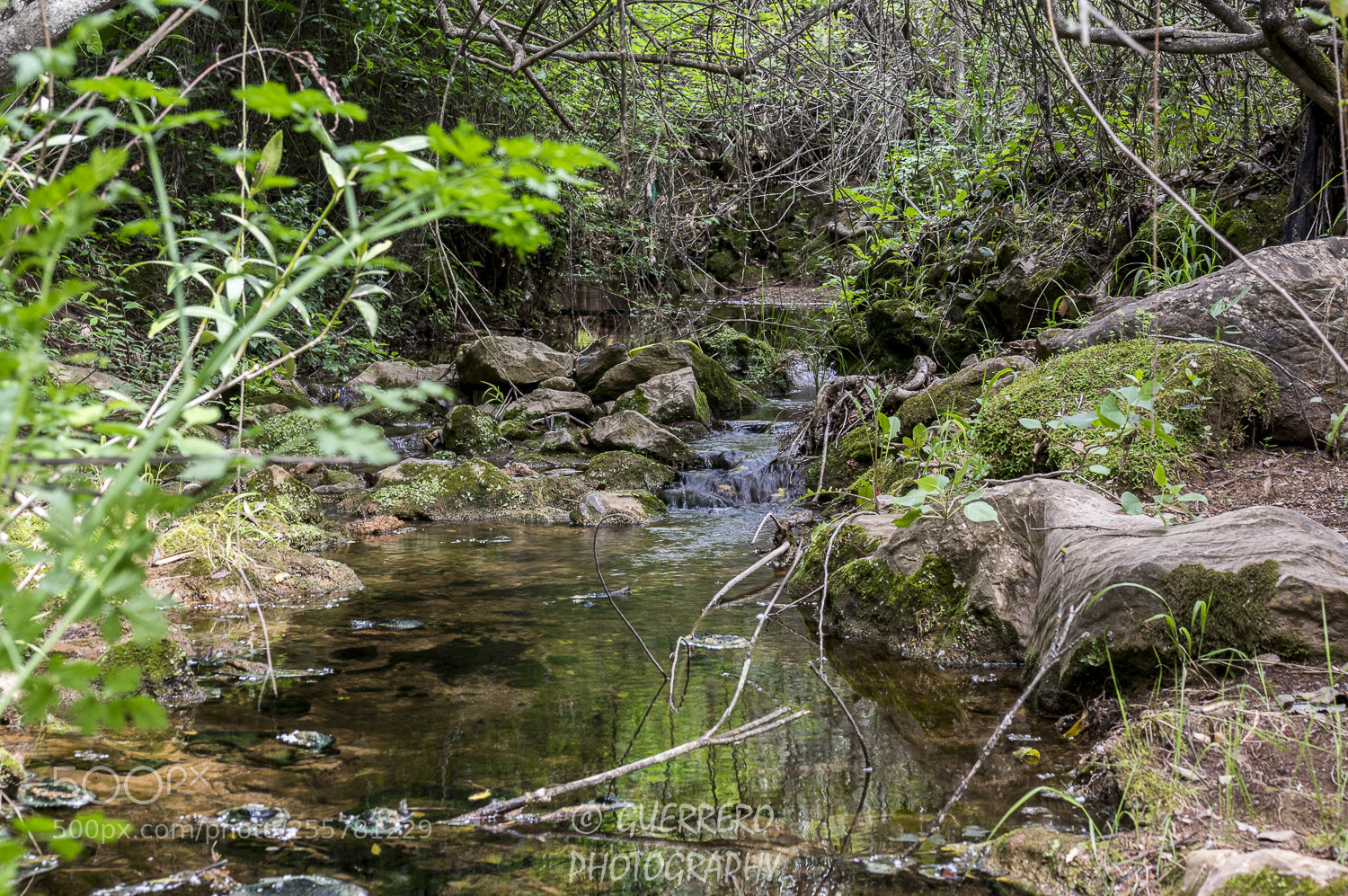 Pentax K-3 II sample photo. Aguas tranquilas 2 photography