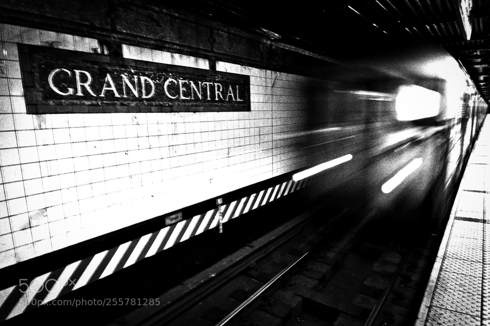 Nikon D500 sample photo. Grand central photography