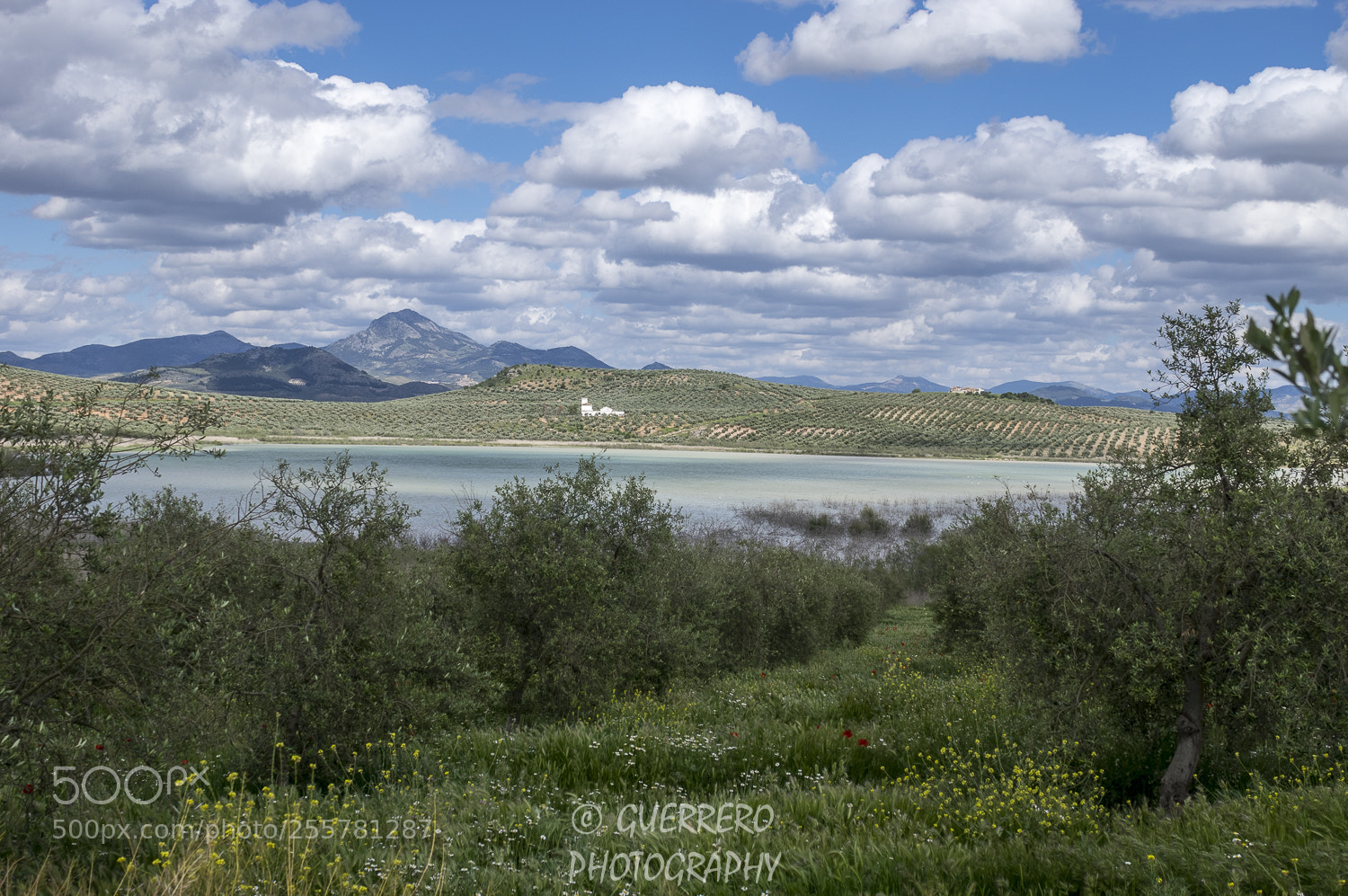 Pentax K-3 II sample photo. Laguna del salobral photography