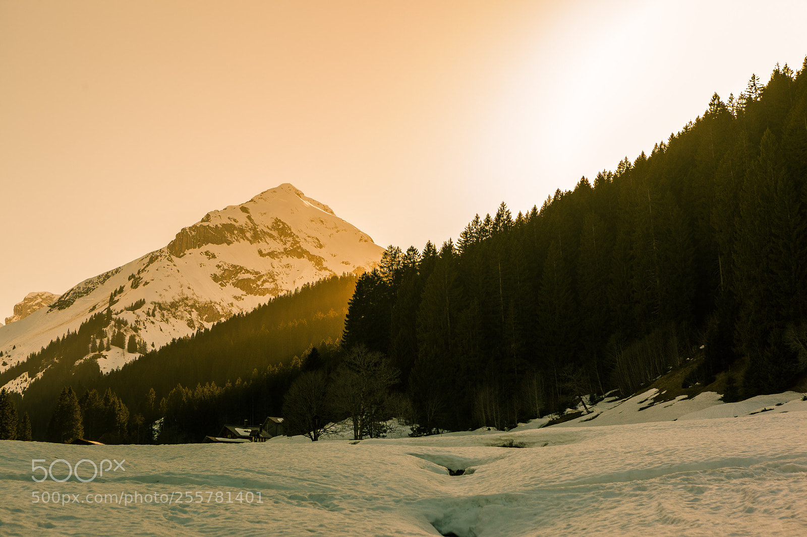 Canon EOS 5D Mark II sample photo. Golden mountain  photography