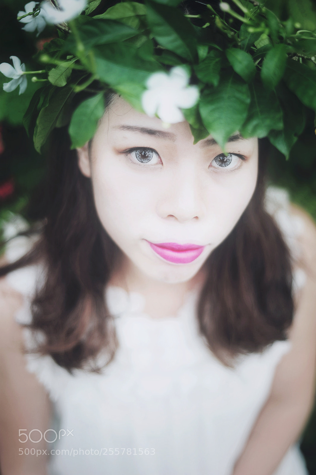 Nikon D700 sample photo. Spring photography