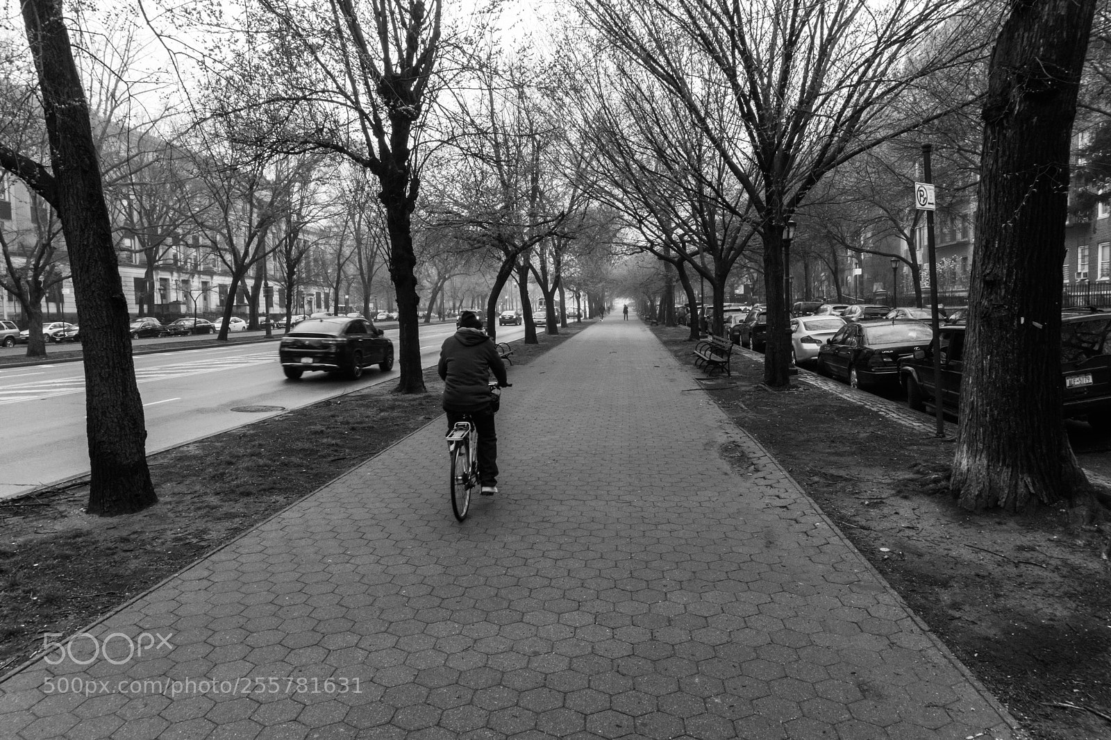 Sony a6000 sample photo. Sidewalk photography