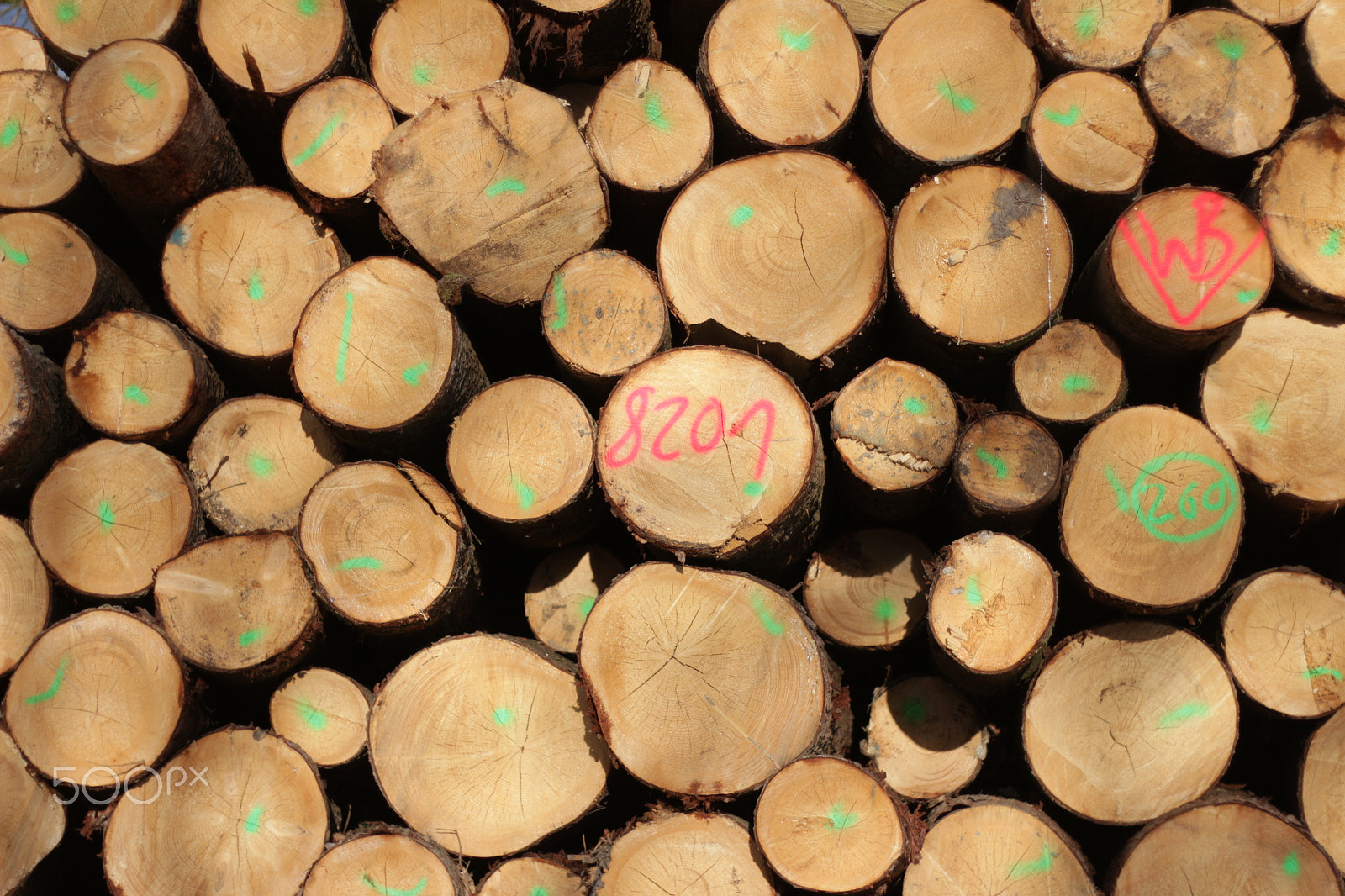 Canon EOS 700D (EOS Rebel T5i / EOS Kiss X7i) + Canon EF 50mm F1.8 II sample photo. Pile of wood photography