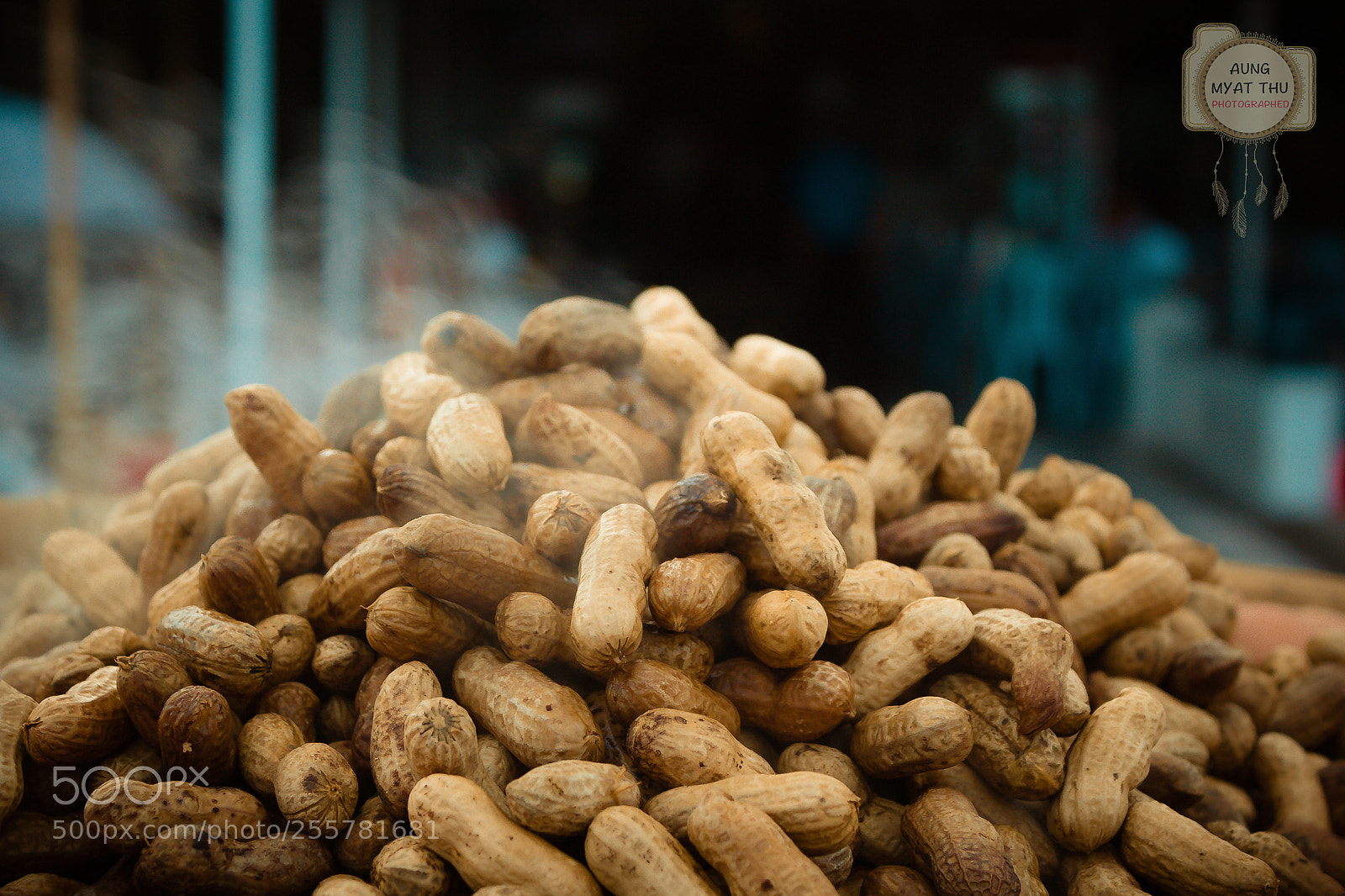 Canon EOS 60D sample photo. Steam peanuts photography