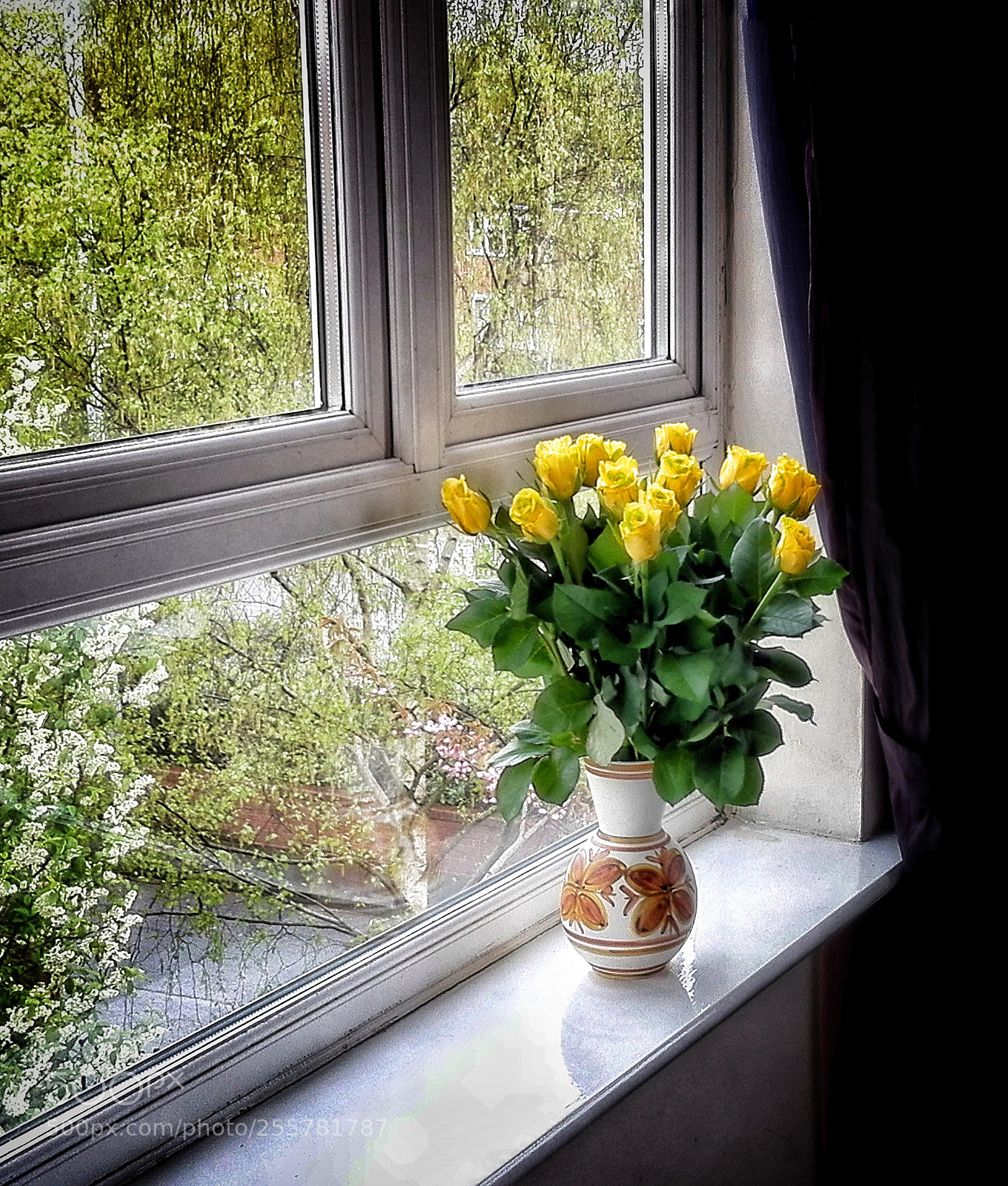 HUAWEI P8 Lite sample photo. It s time for photography