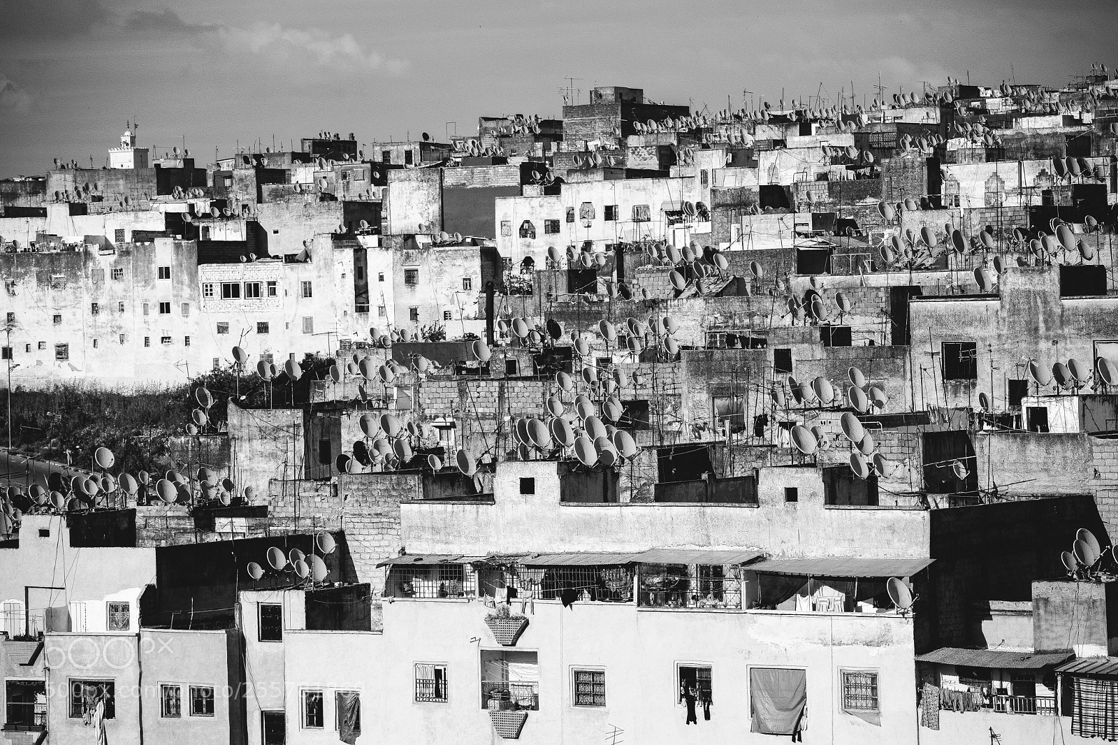 Canon EOS 5D Mark II sample photo. Fez bw photography