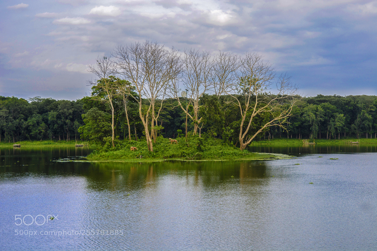 Nikon D5200 sample photo. Durga sagor photography
