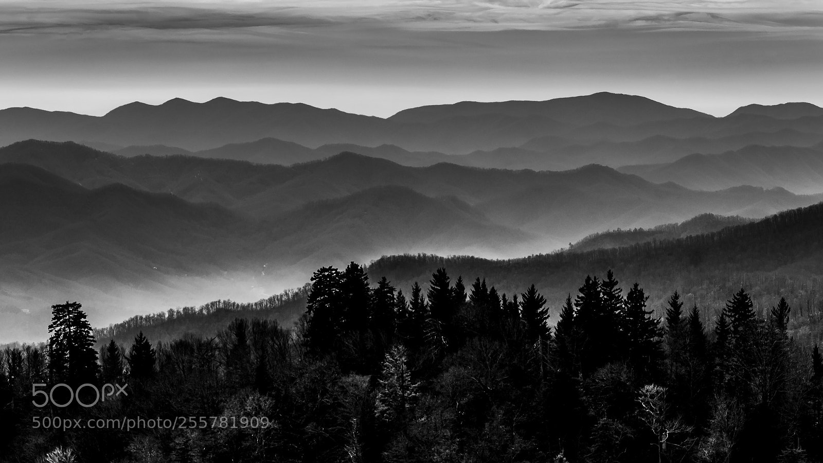 Nikon D5000 sample photo. Smoky mountains photography