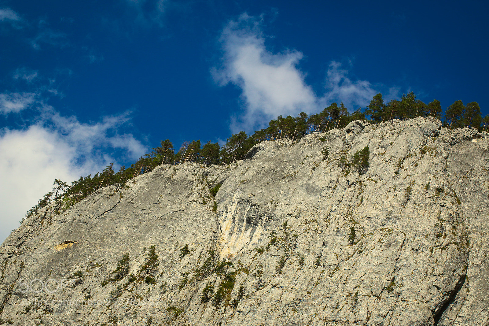Canon EOS 70D sample photo. Untitled photography