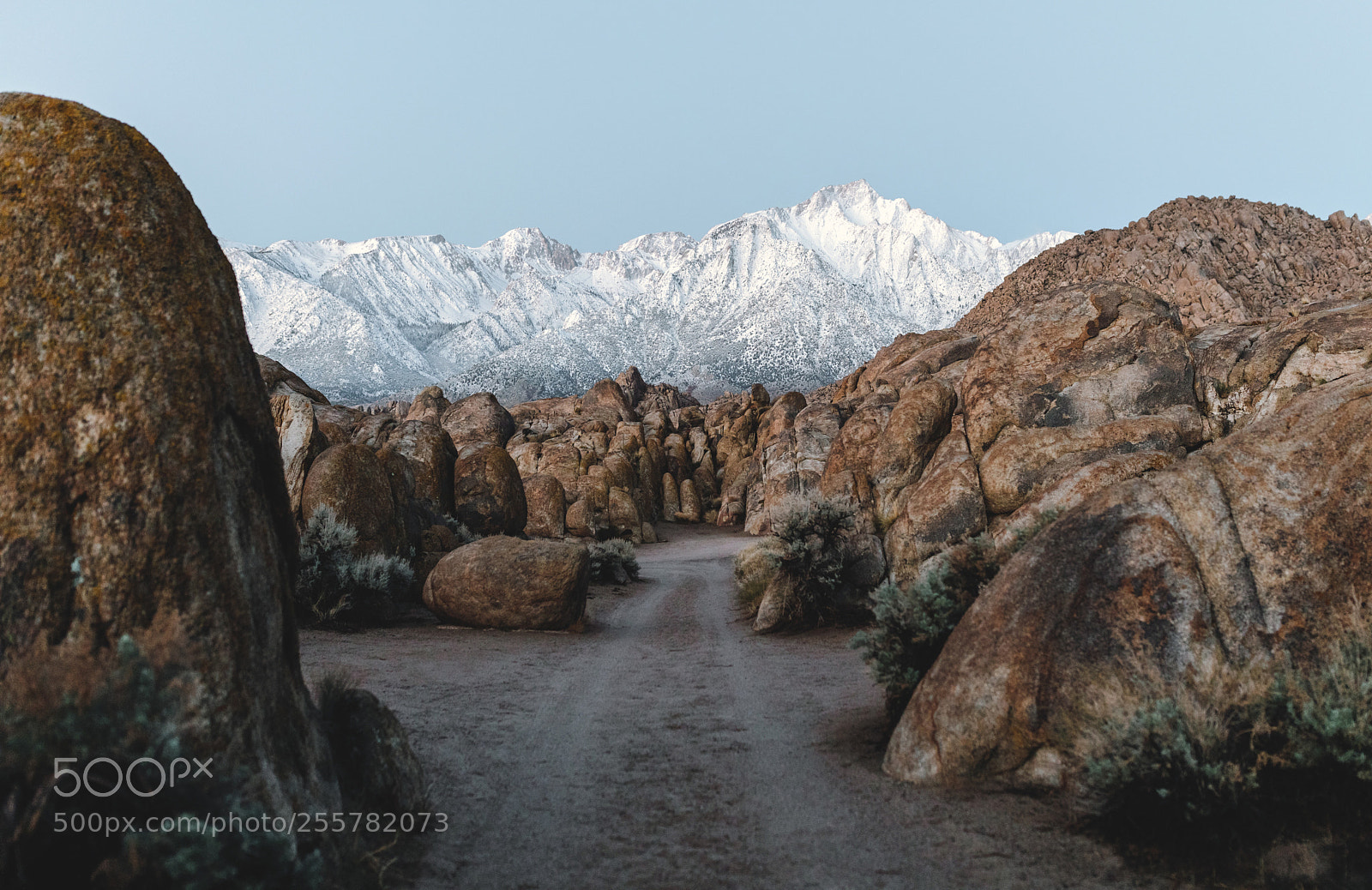 Canon EOS 5D Mark IV sample photo. Tiny desert roads. photography