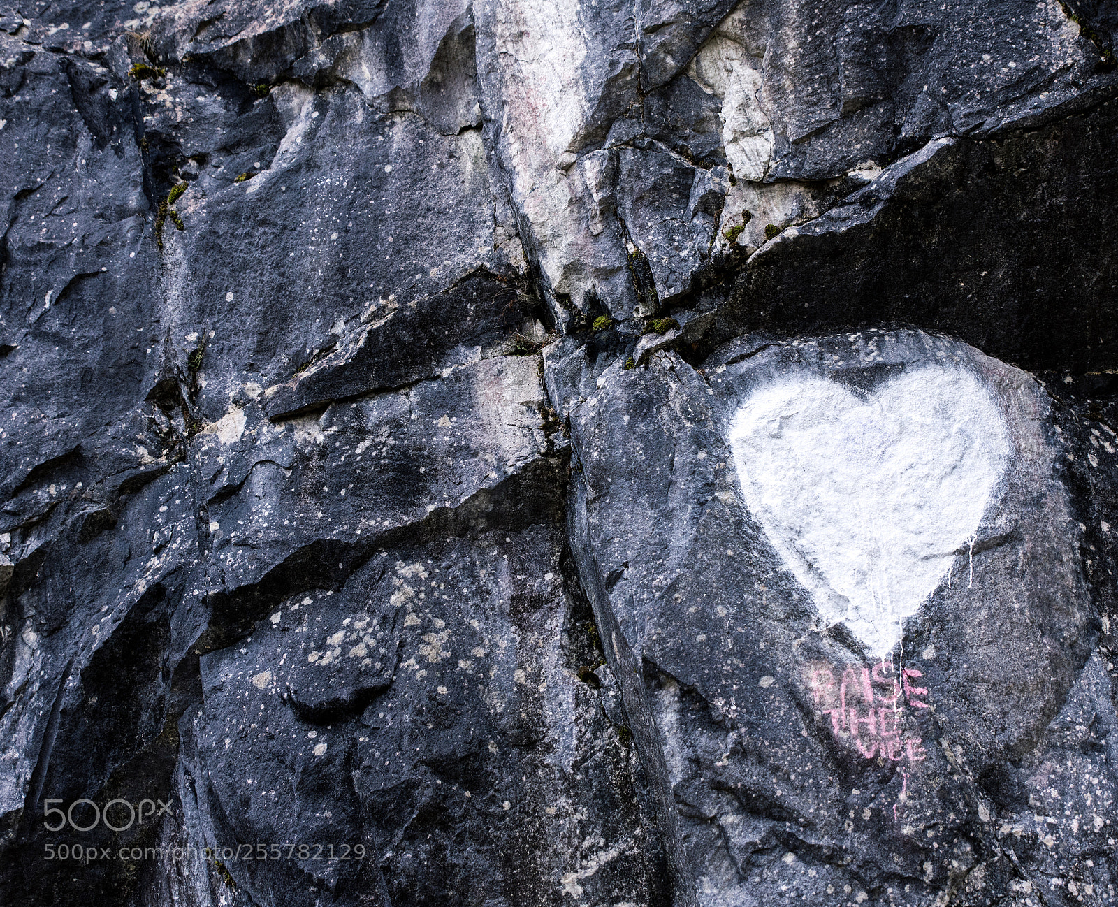 Nikon D7200 sample photo. L o v e photography