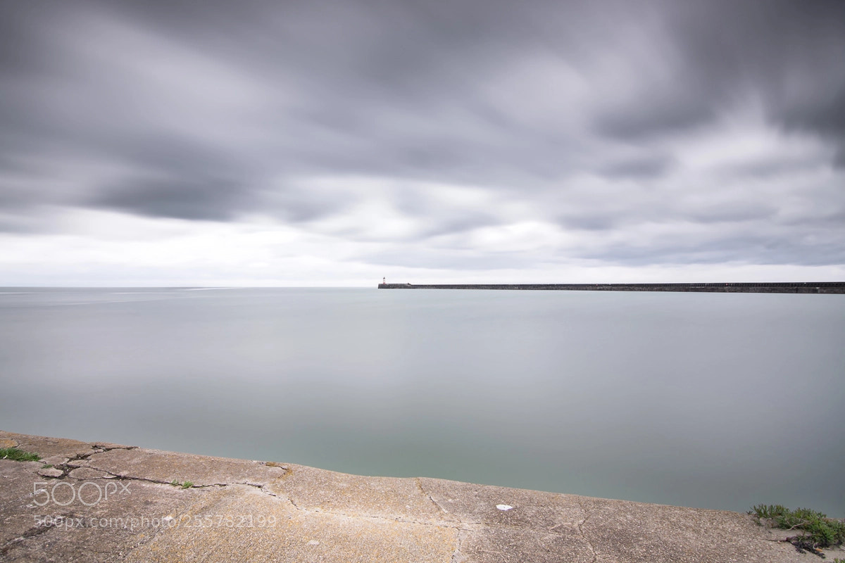 Nikon D7100 sample photo. Newhaven harbour photography