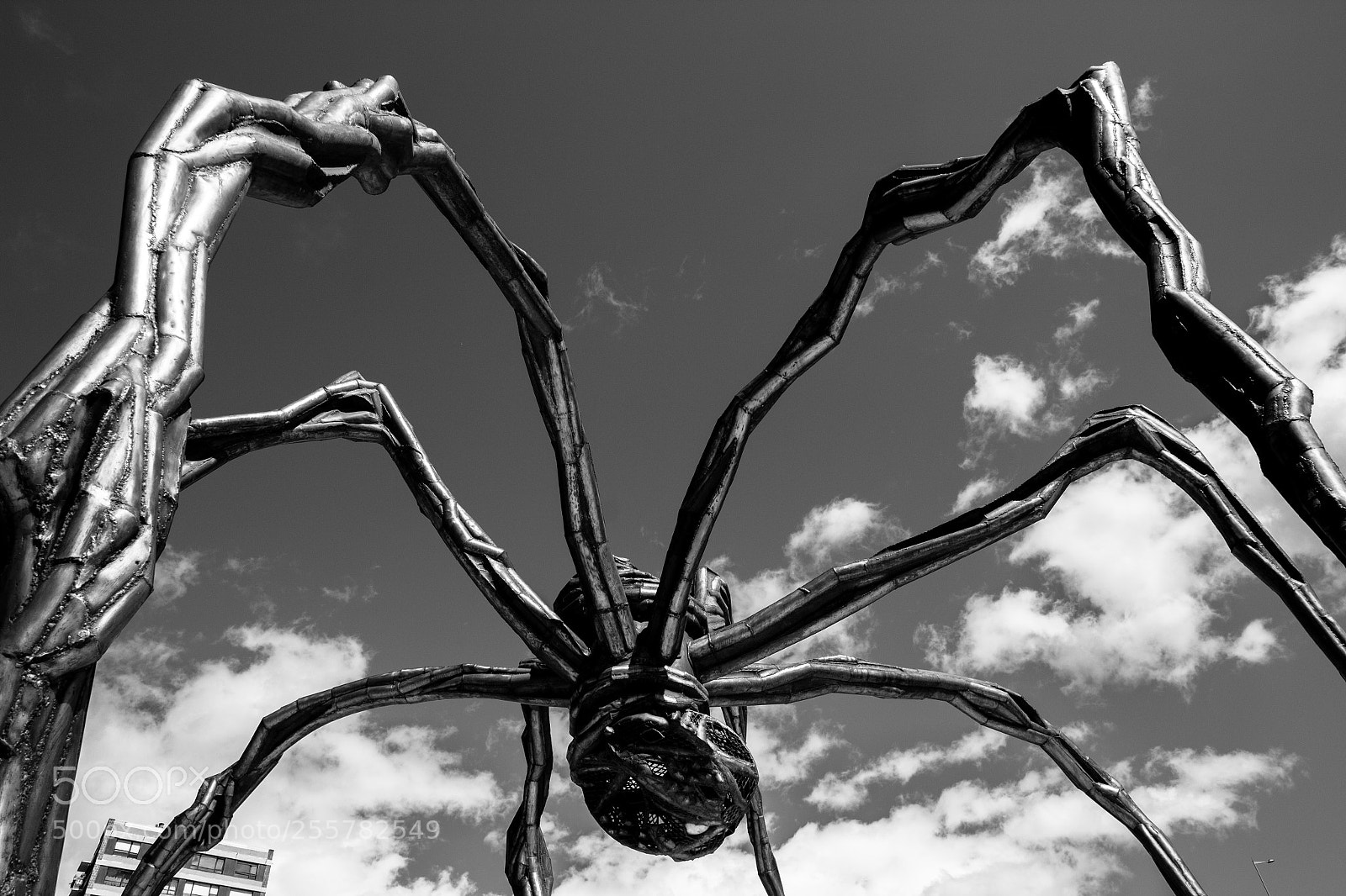 Canon EOS 1200D (EOS Rebel T5 / EOS Kiss X70 / EOS Hi) sample photo. Dark spider photography