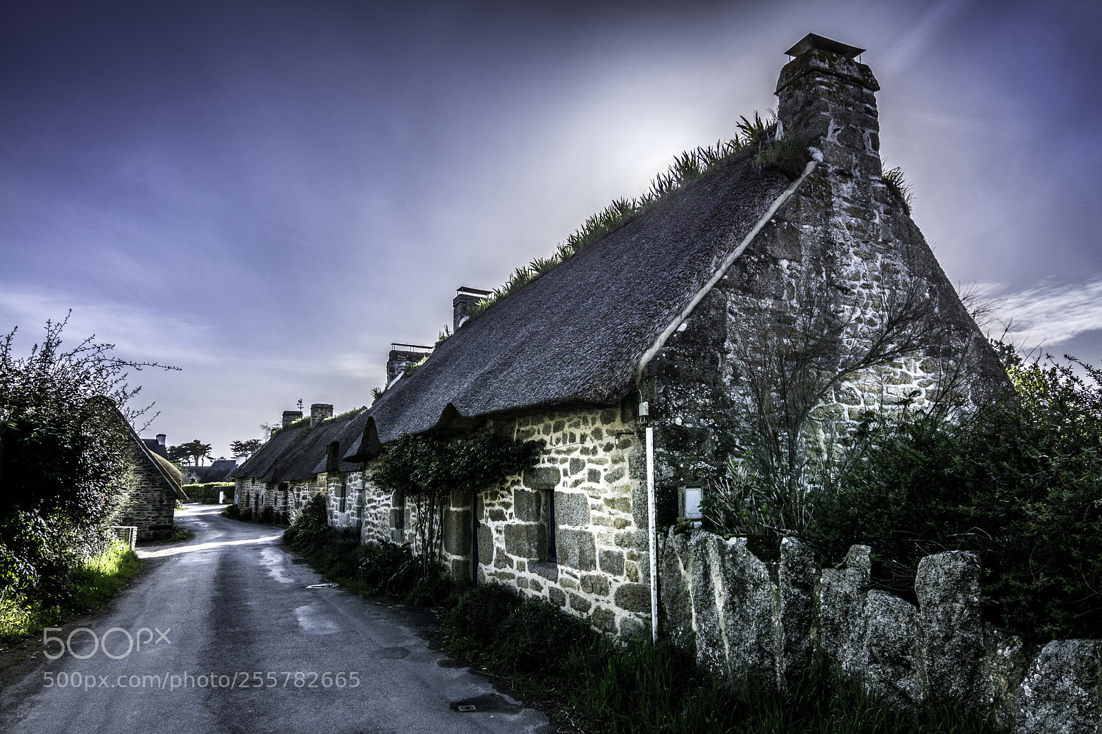 Nikon D7100 sample photo. A typical house photography