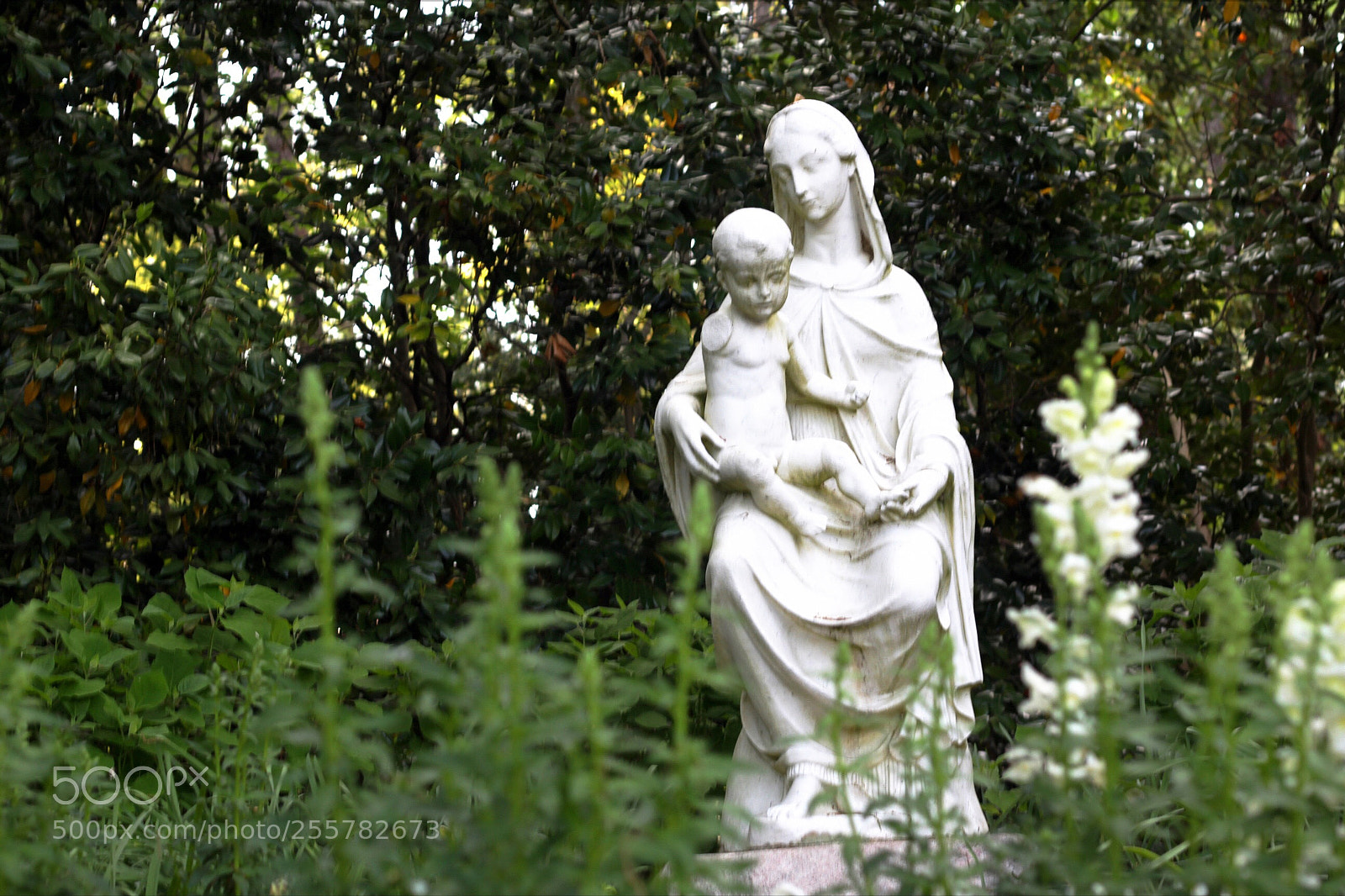 Canon EOS 60D sample photo. Saint in the garden photography
