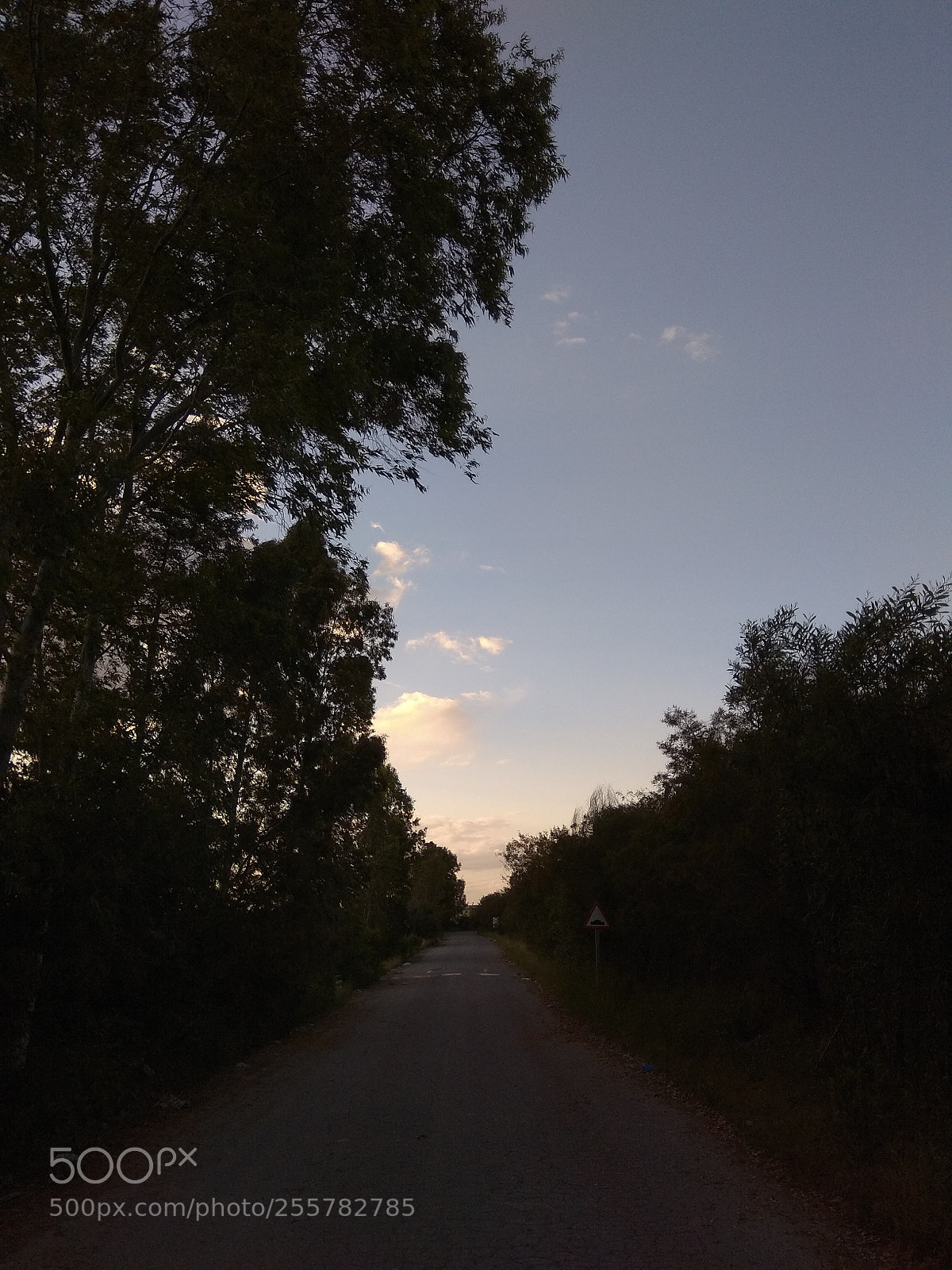 Xiaomi Redmi Note 4 sample photo. Untitled photography