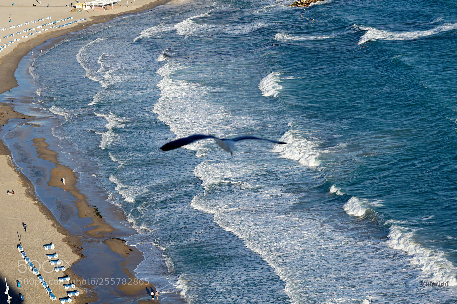 Sony a6000 sample photo. Flight in choppy photography