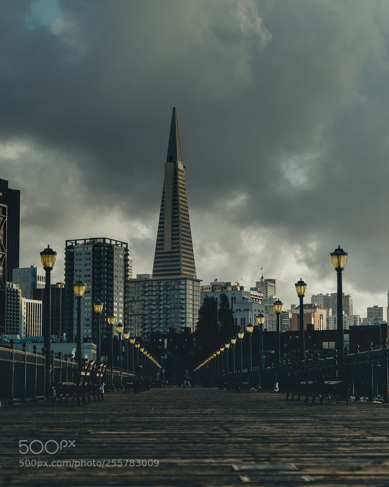 Sony a7 III sample photo. Transamerica photography
