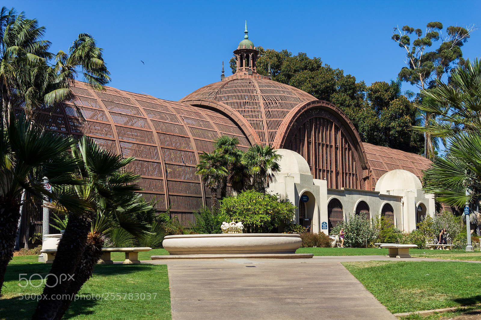 Canon EOS 550D (EOS Rebel T2i / EOS Kiss X4) sample photo. Balboa park greenhouse photography