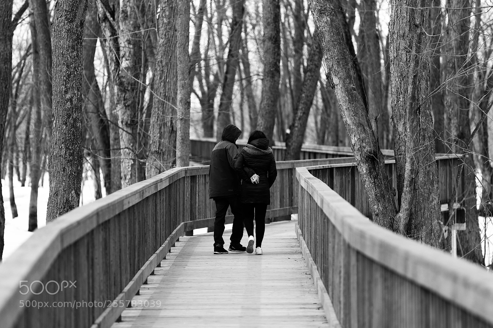 Canon EOS 6D sample photo. Les amoureux photography