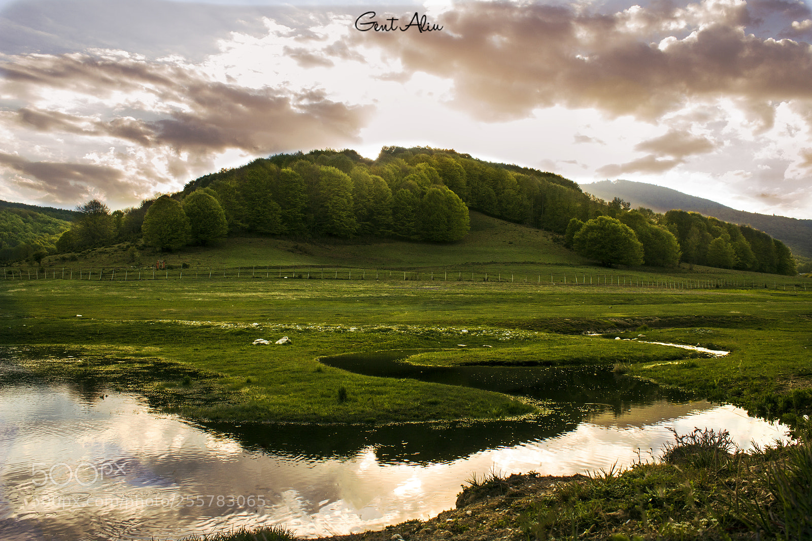 Canon EOS 600D (Rebel EOS T3i / EOS Kiss X5) sample photo. Dreamland photography