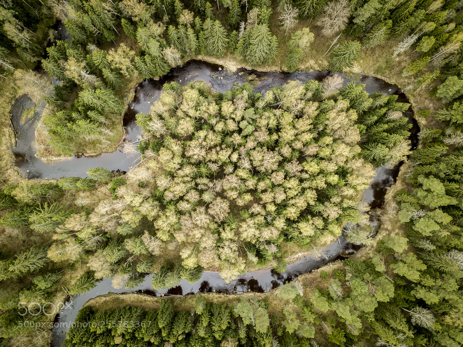 DJI FC220 sample photo. Viesata river, latvia photography