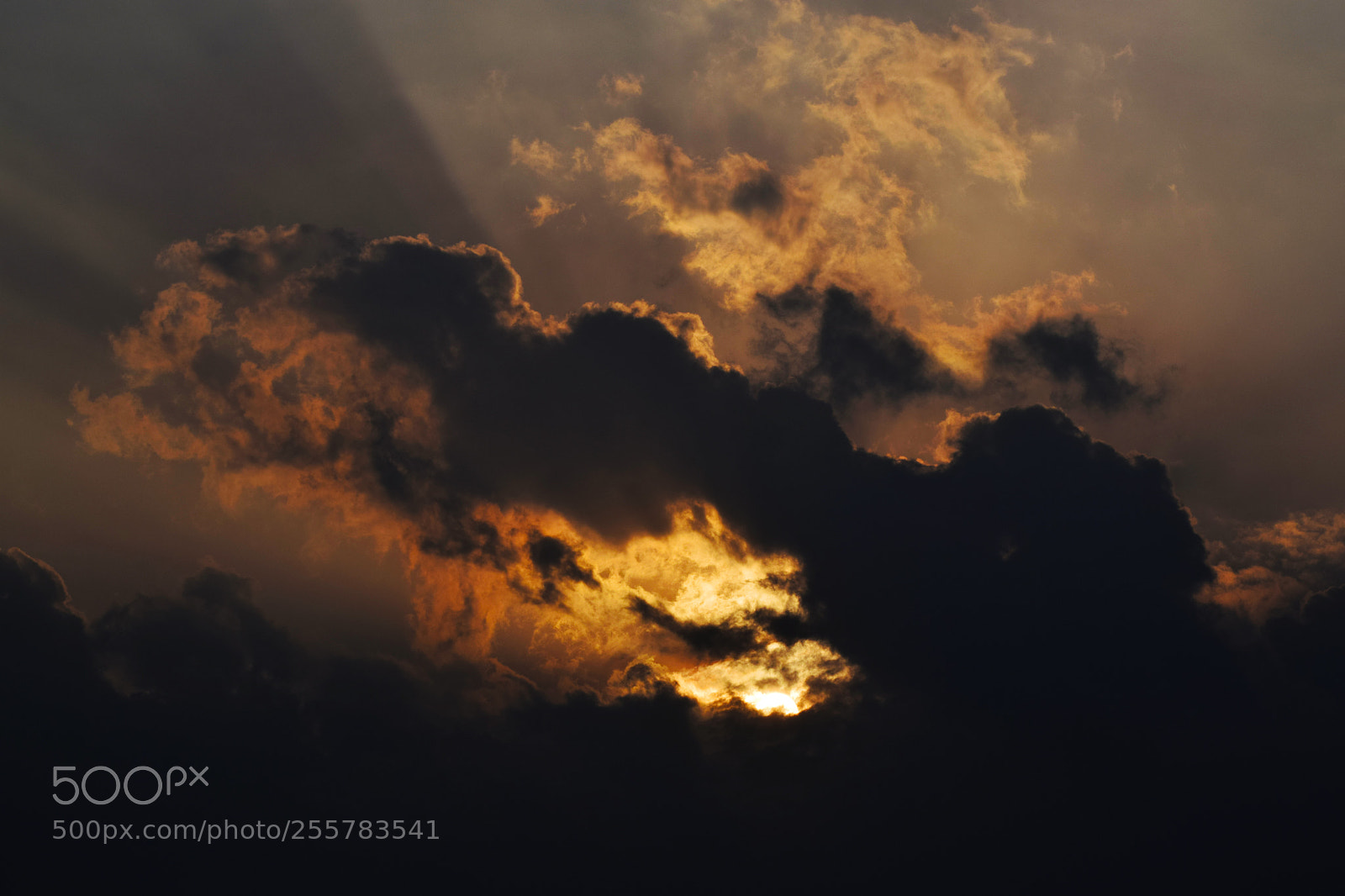 Nikon D5300 sample photo. Evening cloudy horizon photography