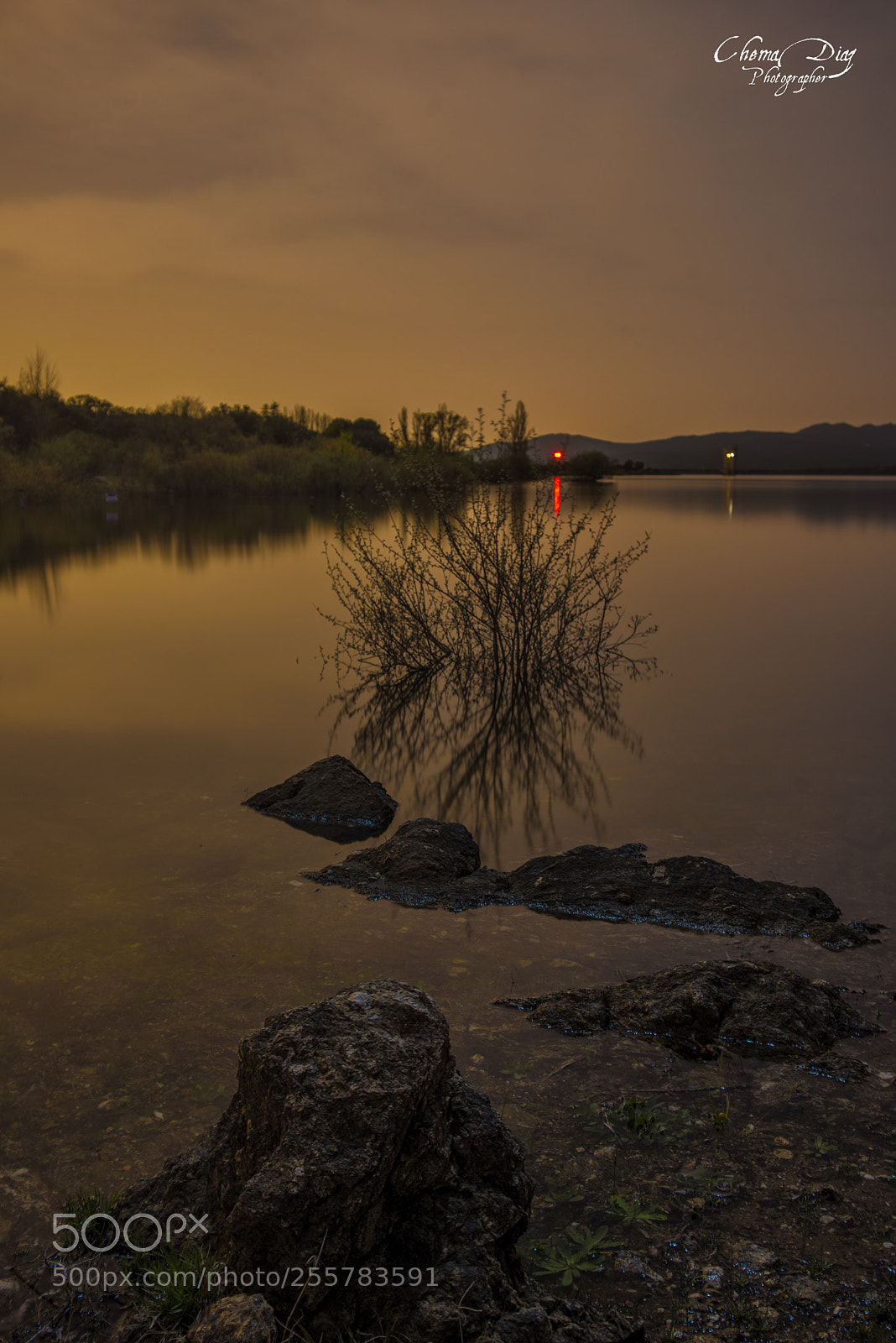 Nikon D800 sample photo. Silence. photography