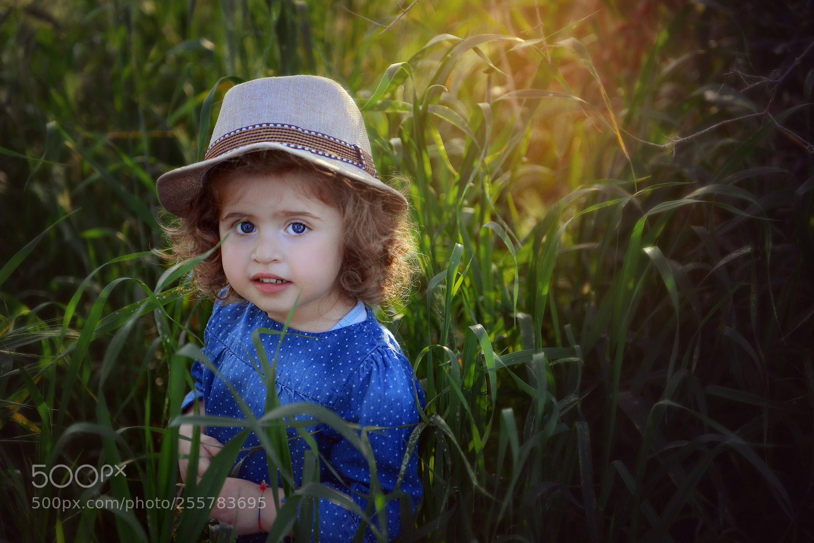 Nikon D600 sample photo. Aurora photography