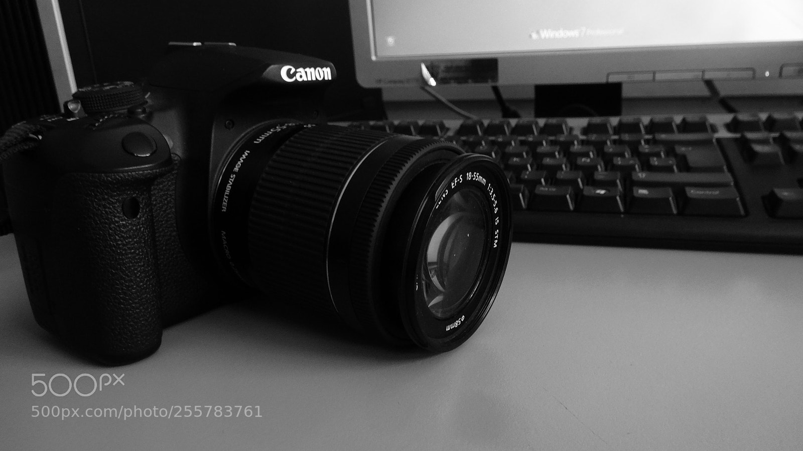 Sony Cyber-shot DSC-HX20V sample photo. Pasiones photography