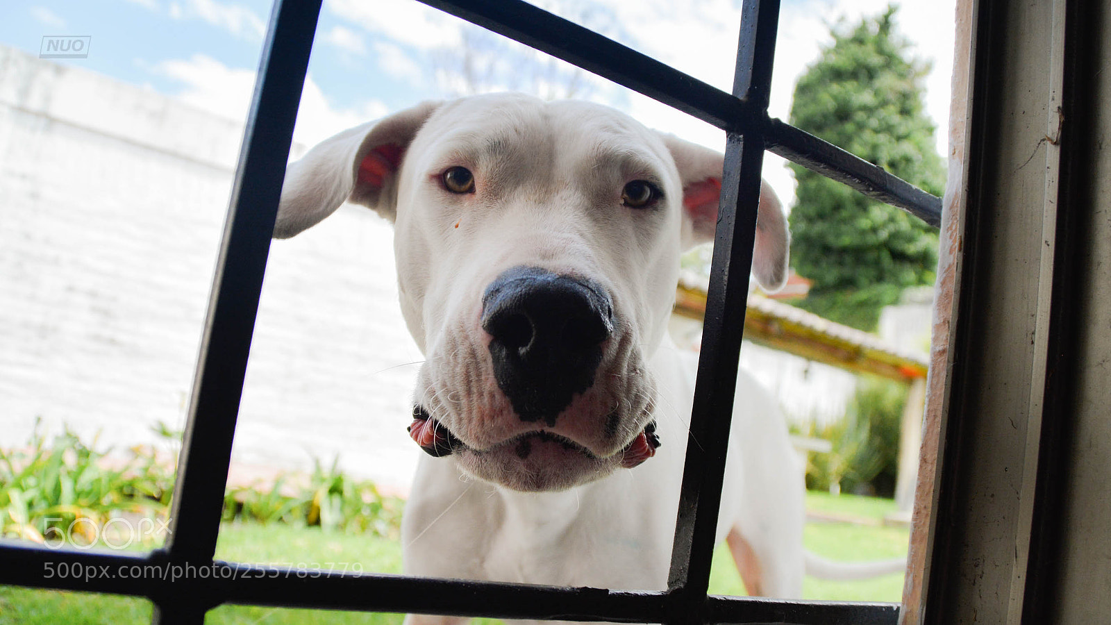 Nikon D5200 sample photo. Gucci photography