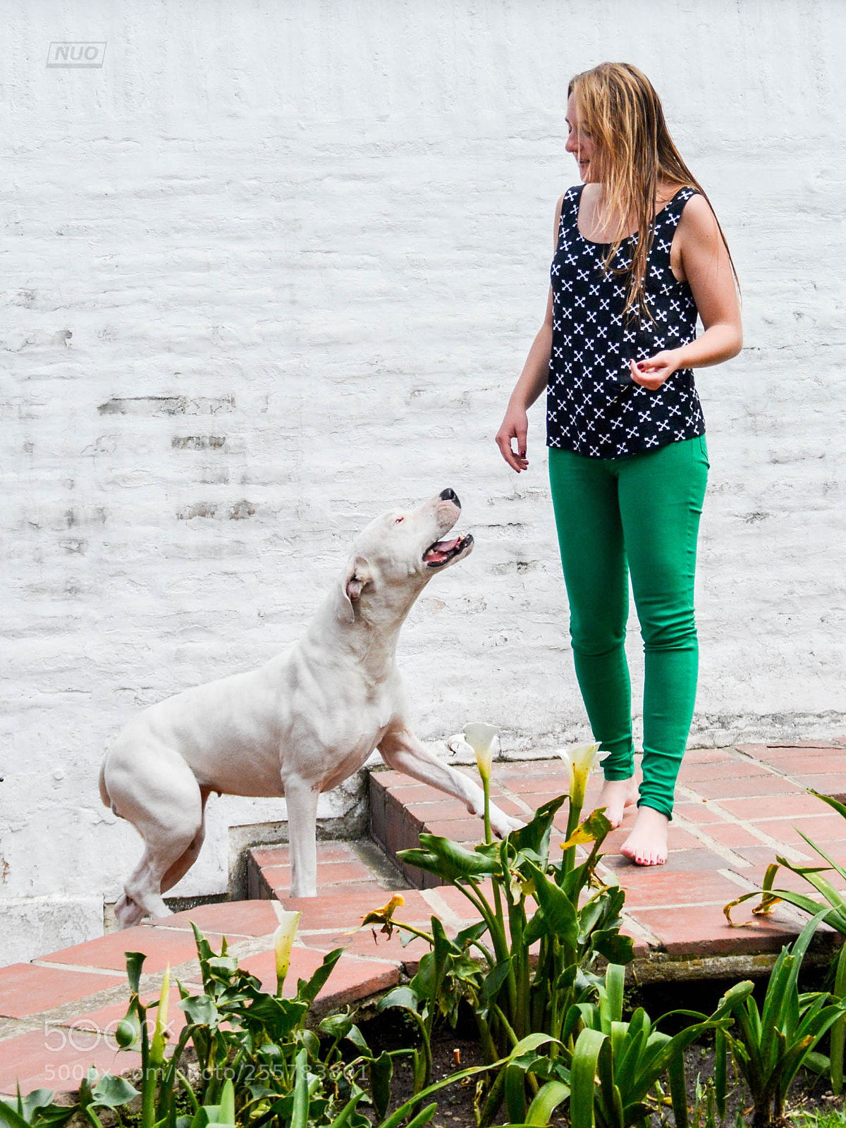 Nikon D5200 sample photo. Gucci photography