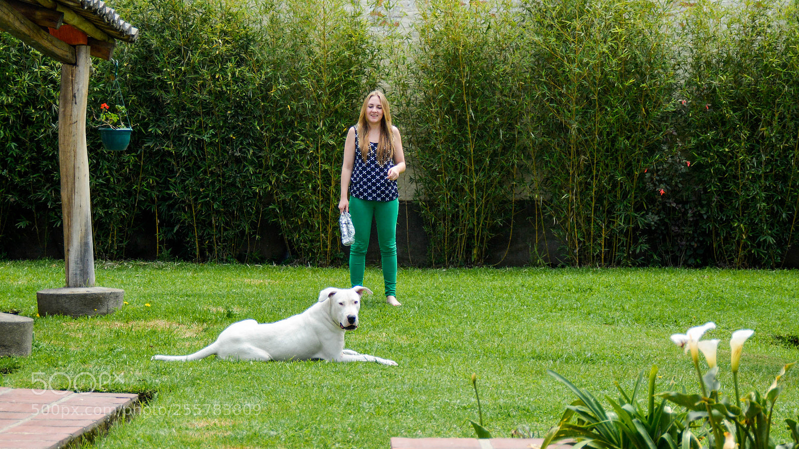 Nikon D5200 sample photo. Gucci photography