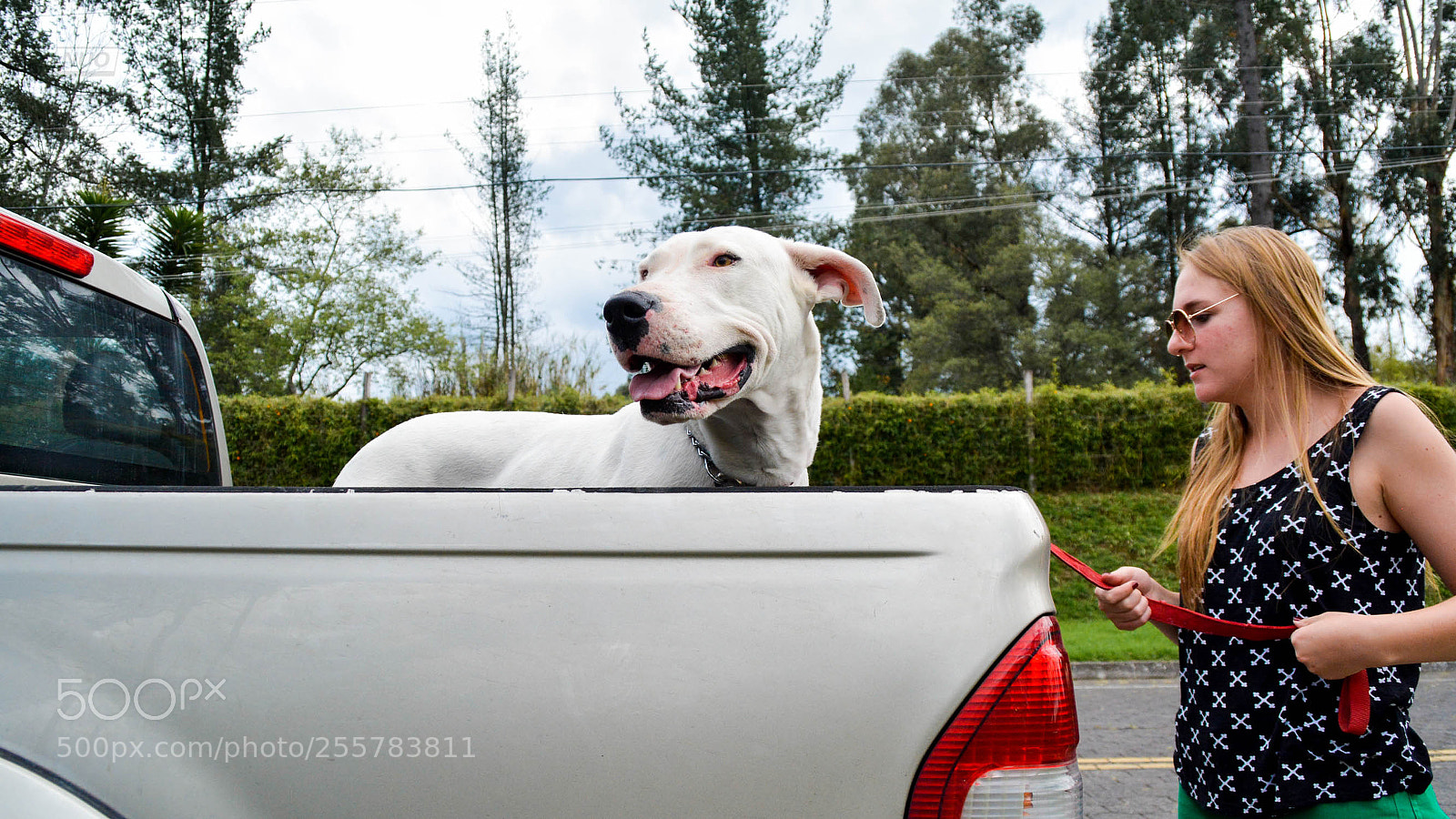 Nikon D5200 sample photo. Gucci photography