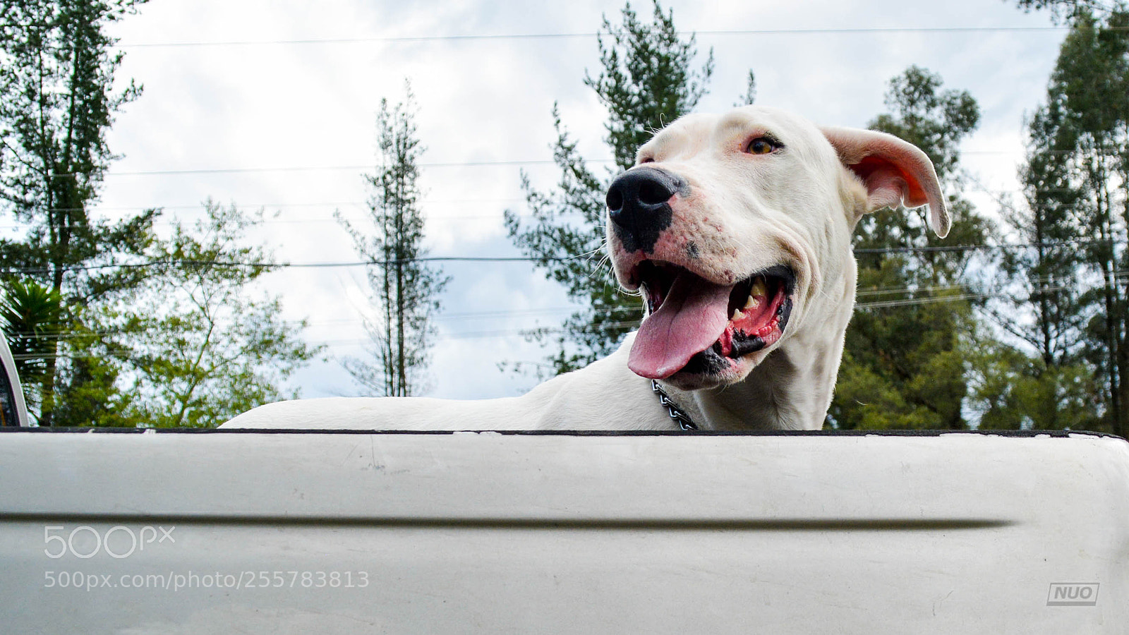 Nikon D5200 sample photo. Gucci photography